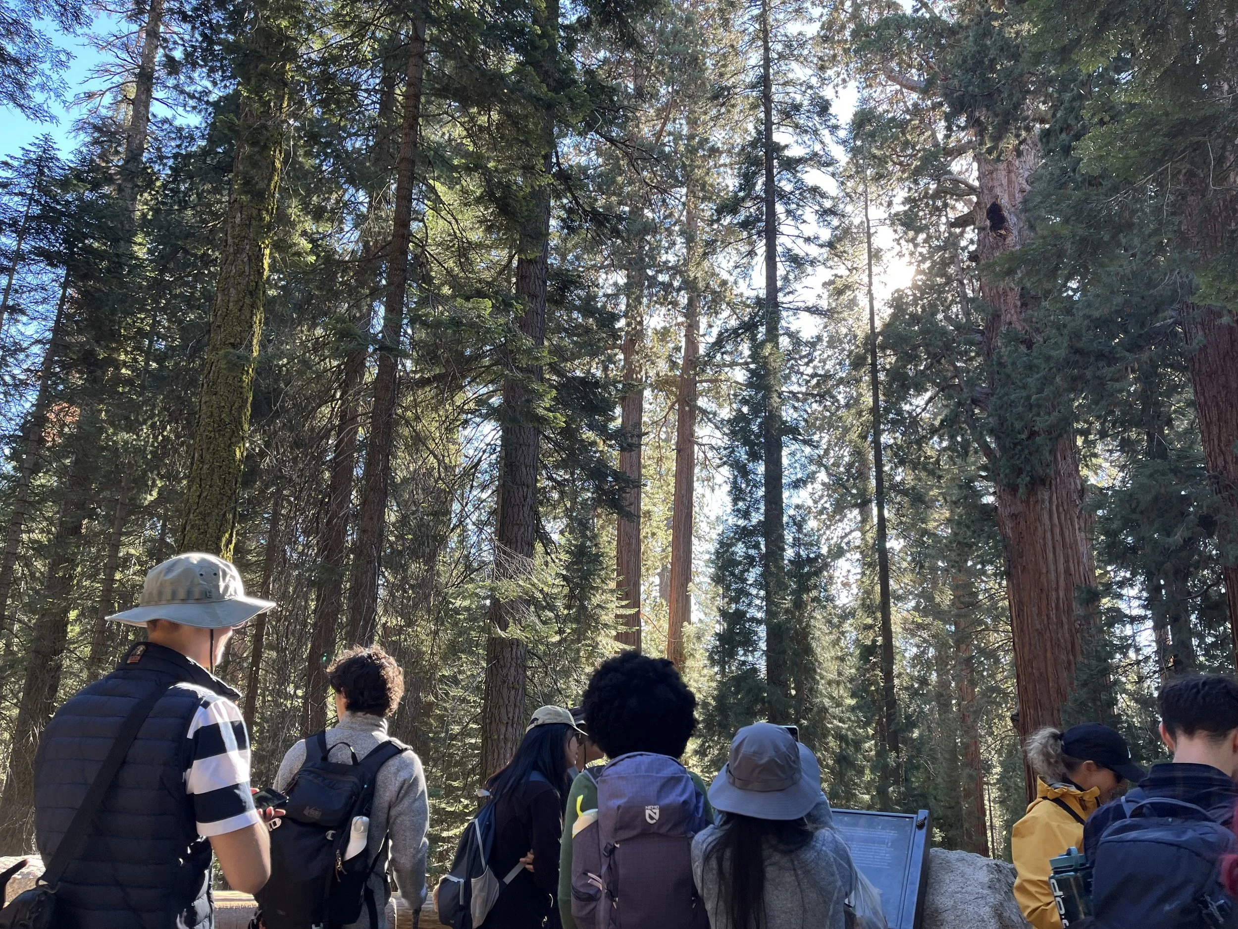 IMG_6127 - Lauren Sun.jpeg