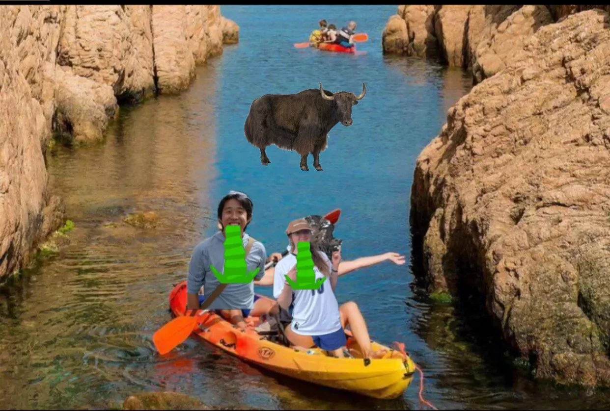 Get a Quick Yak Out Before Finals 