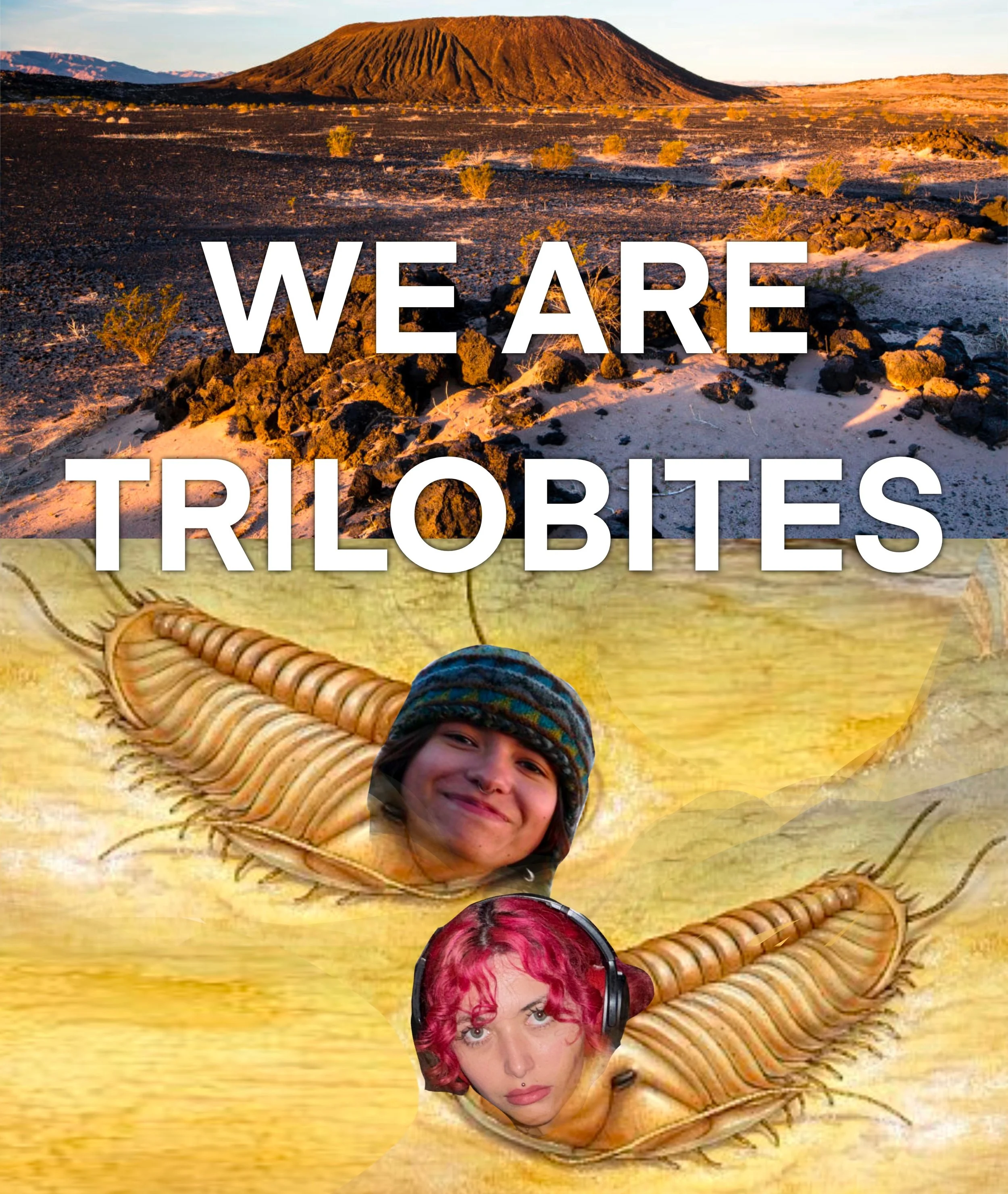 Trilobites in the Wilderness