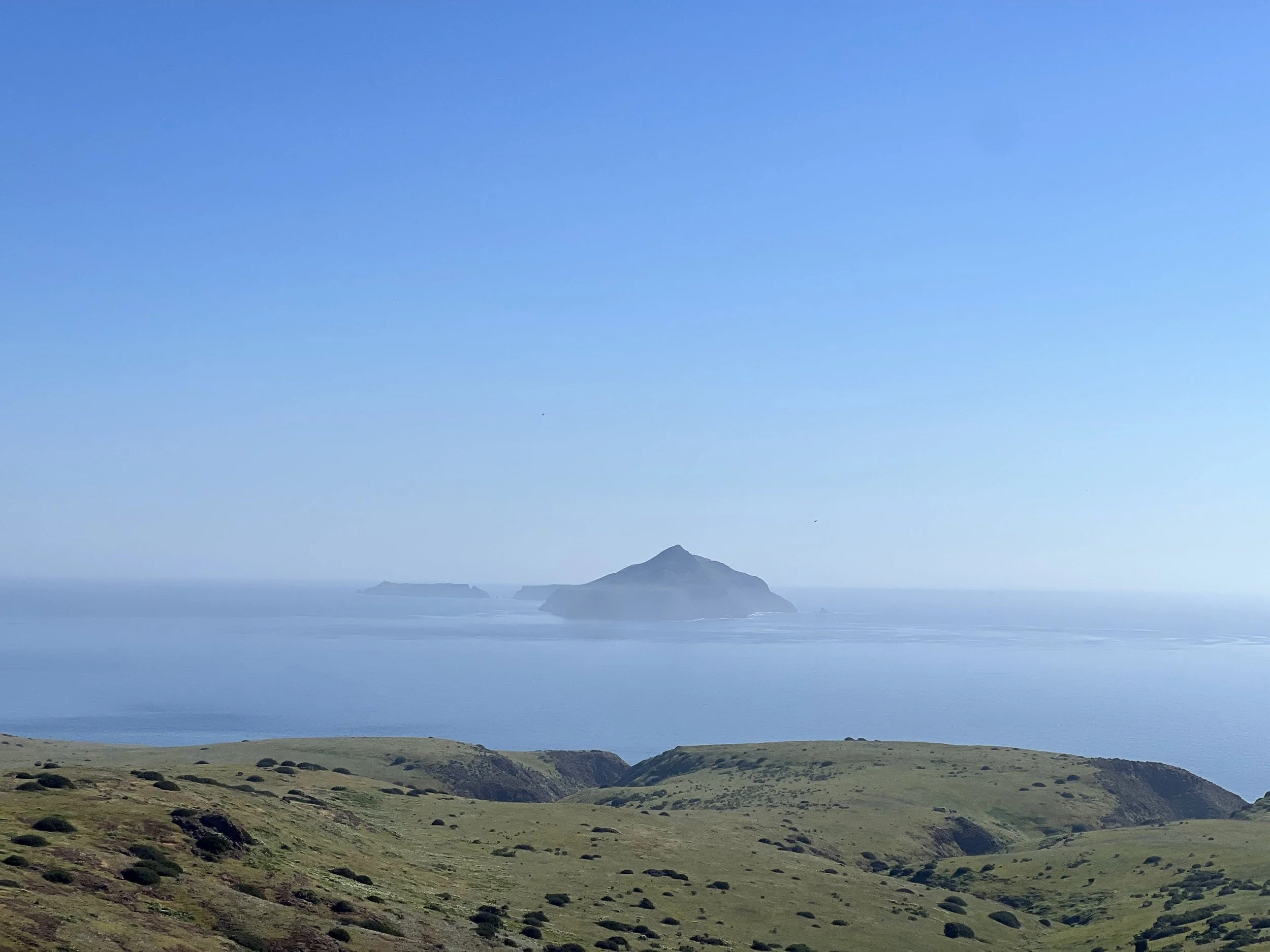 IMG_0180_Original - Sidney Kalin.jpg