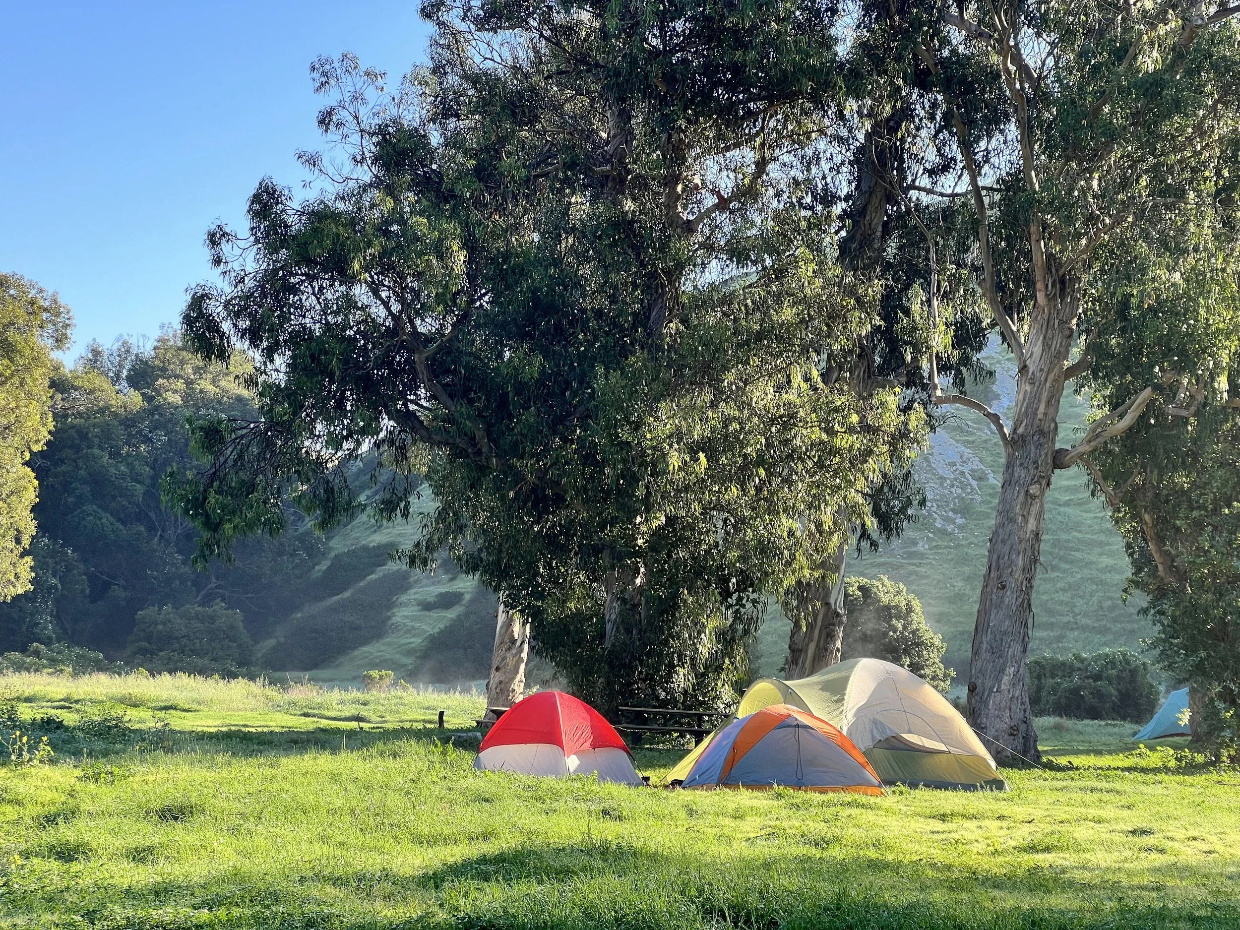 IMG_0164_Original - Sidney Kalin.jpg