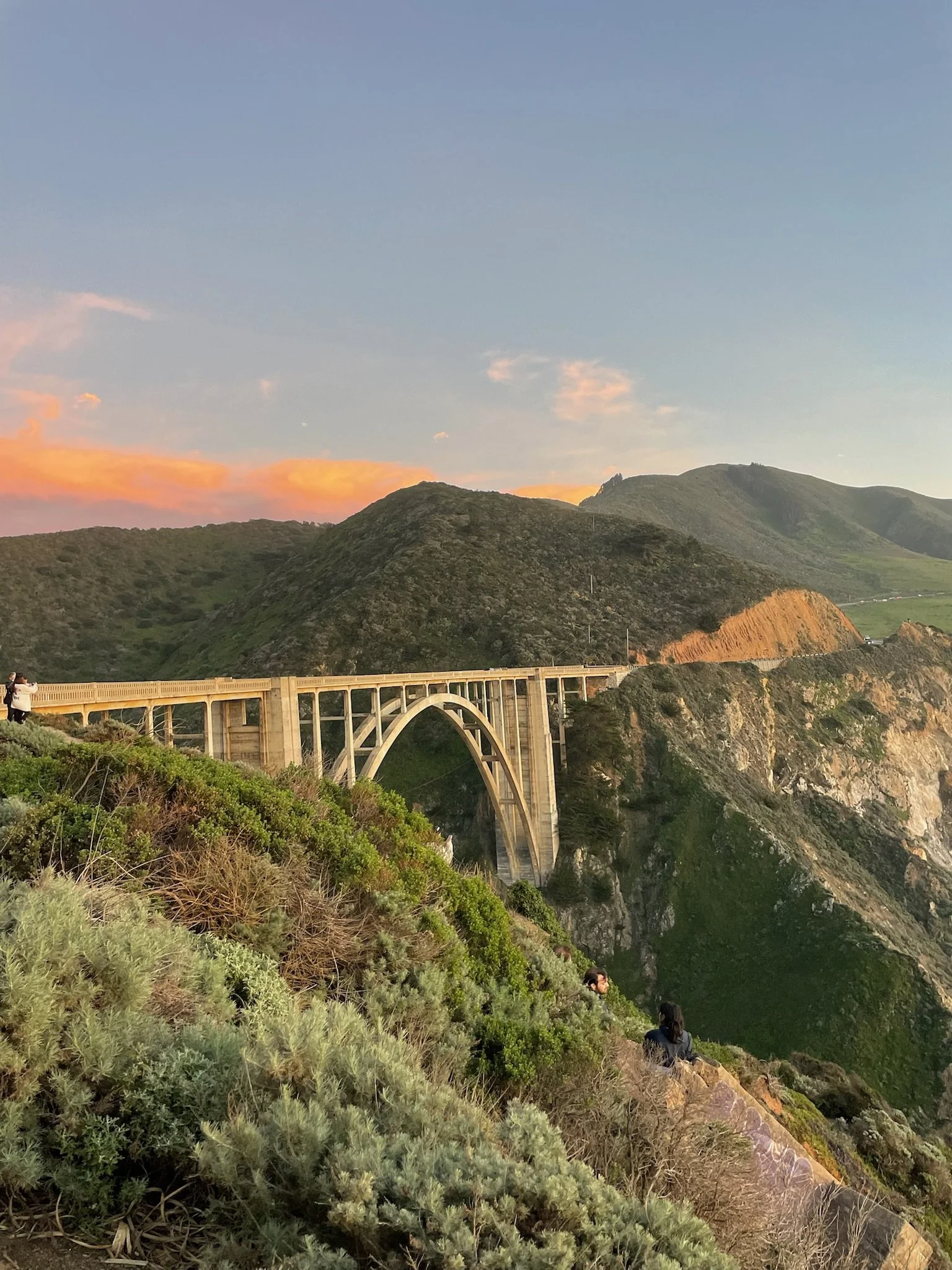 IMG_2841 - SC Outfitters.jpeg