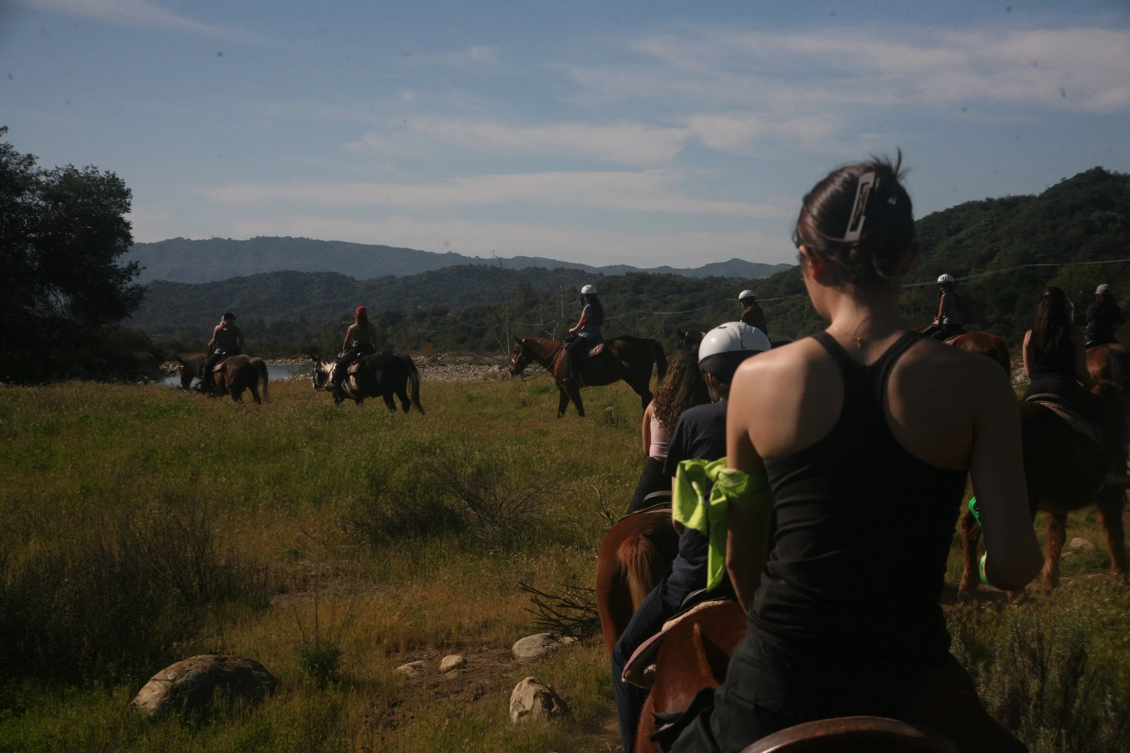 IMG_5379 - Alexa Didinsky.jpeg