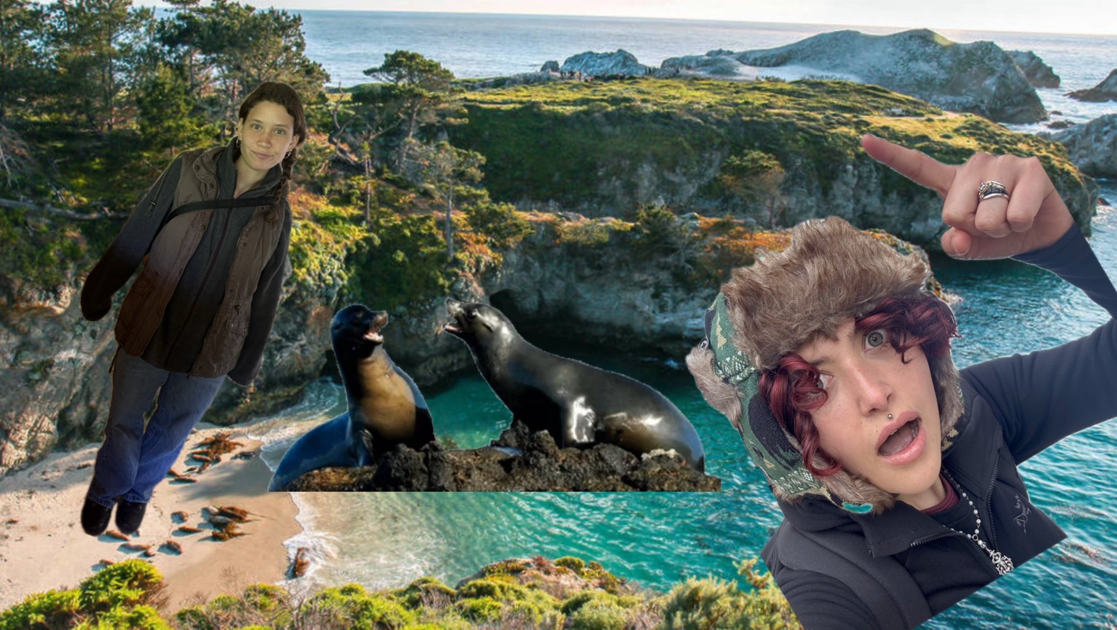 Big Sur-vival of the Fittest: Spring Break Trip