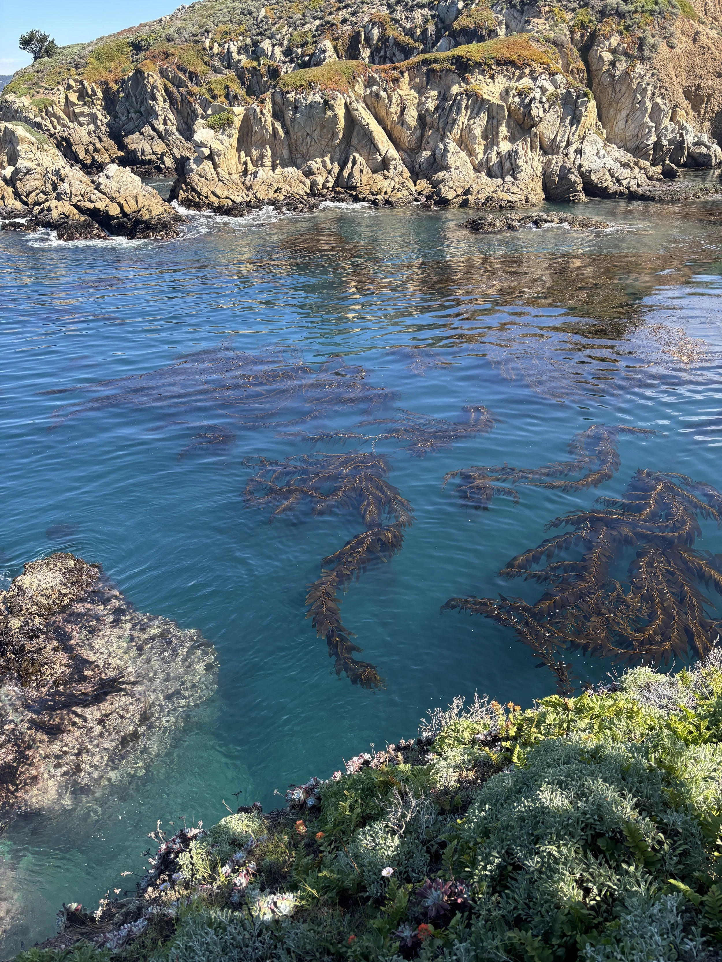 IMG_3333 - guides sco.JPG