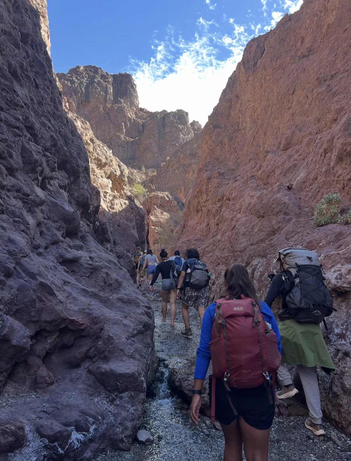 IMG_3779 - Logan Decker.jpeg