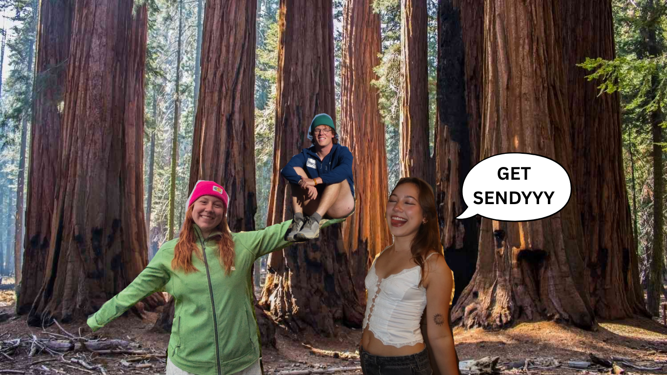 Sendy in Sequoia