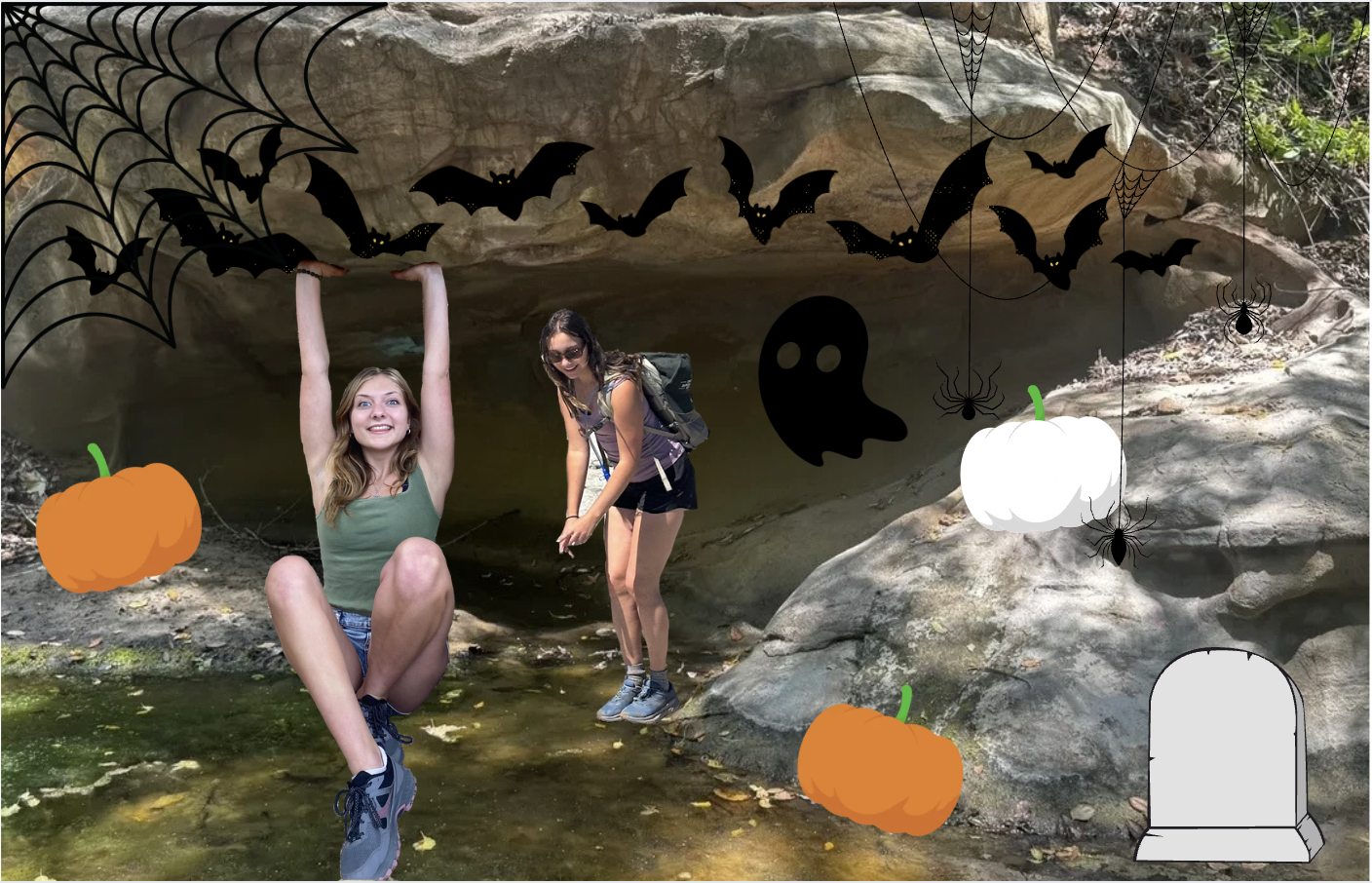 IT’S A CULT CLASSIC (Cave)!