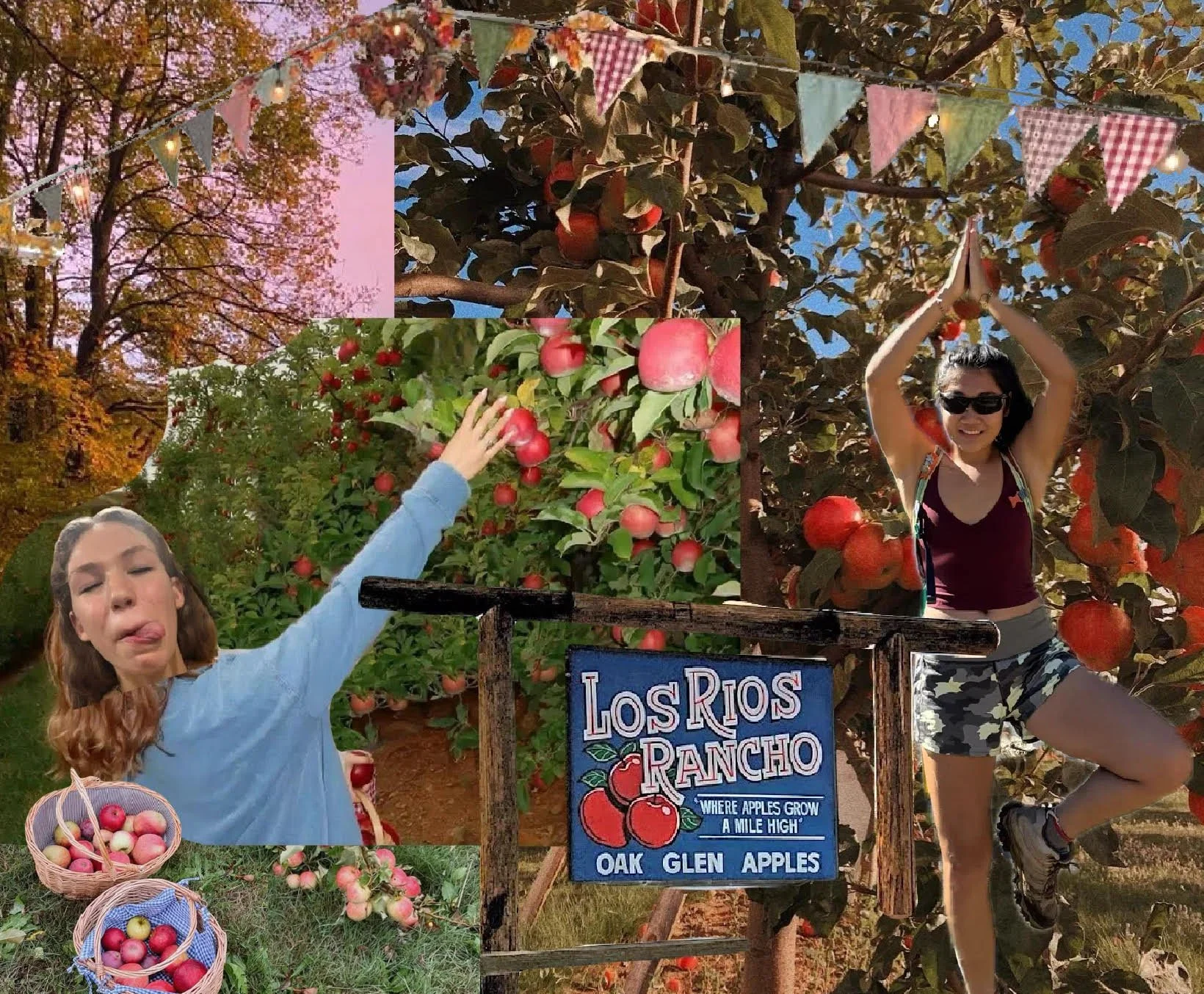 Apple-y Ever After Frolicking In Oak Glen