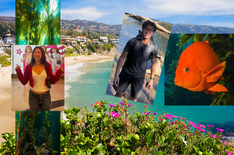 LEAPING INTO LAGUNA!!