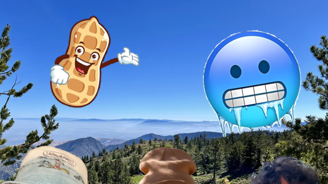 Freezing Our Mount Pinos Off