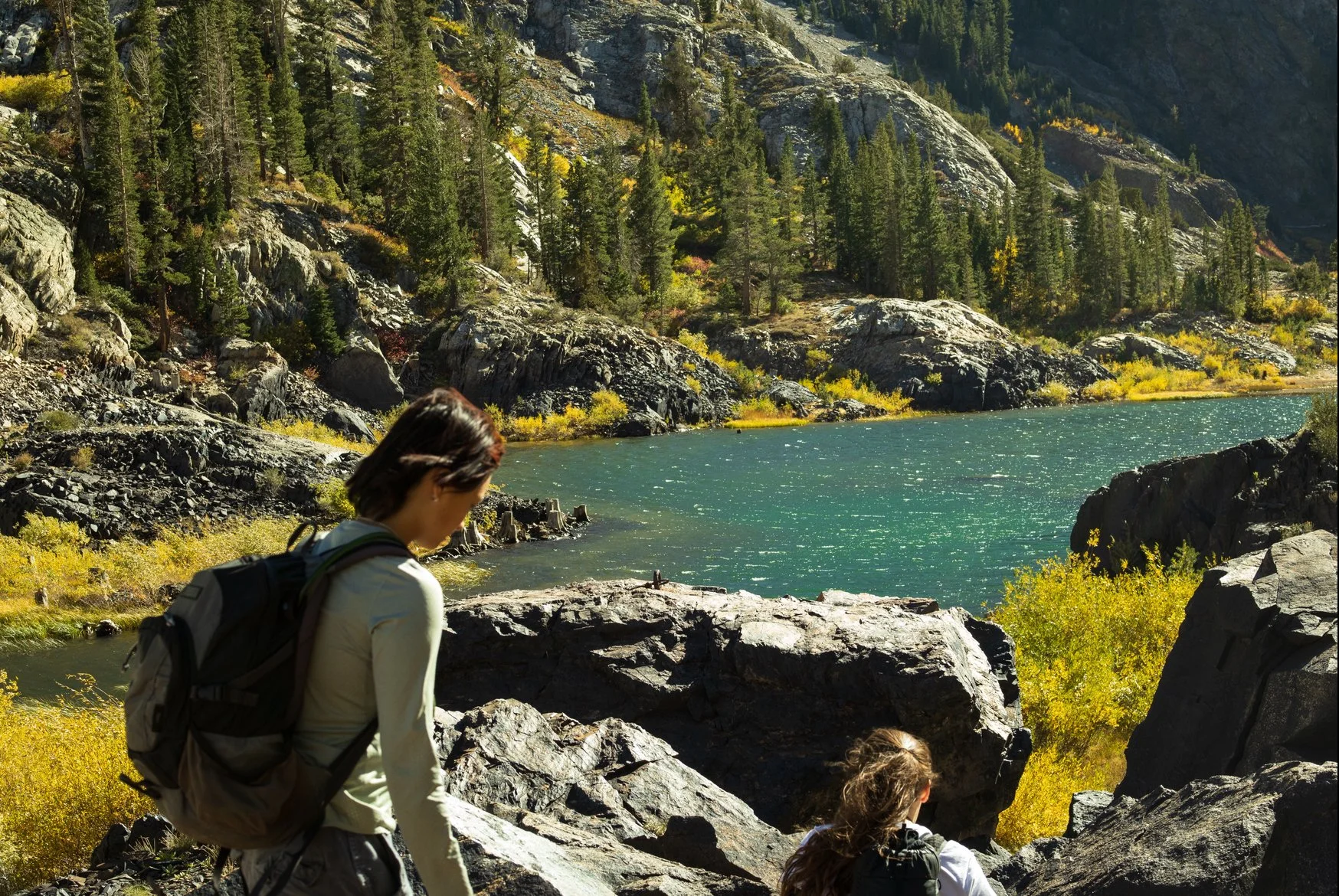 IMG_5708 - Lauren Sun.jpeg