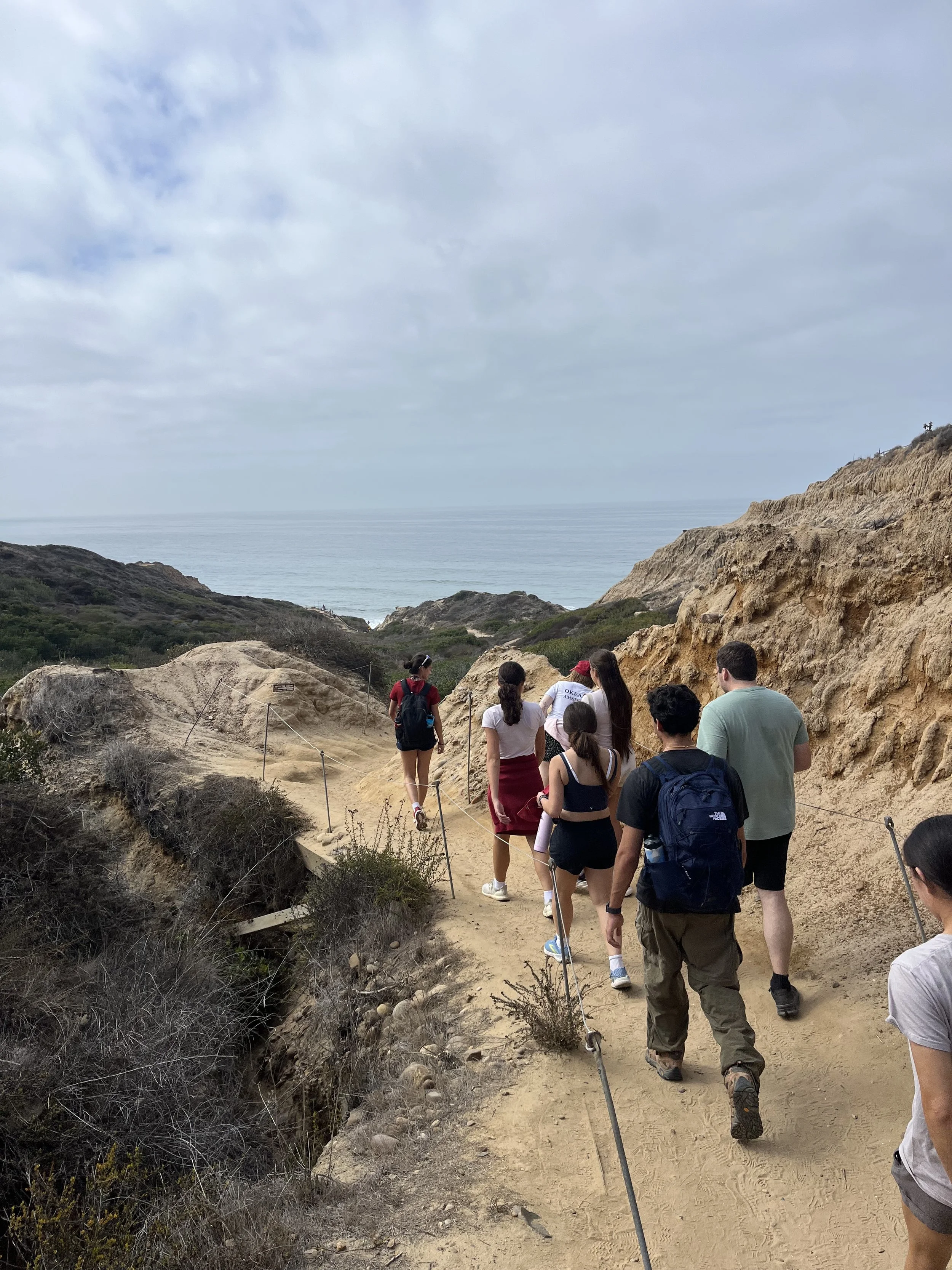 IMG_5361 - Lauren Sun.jpeg