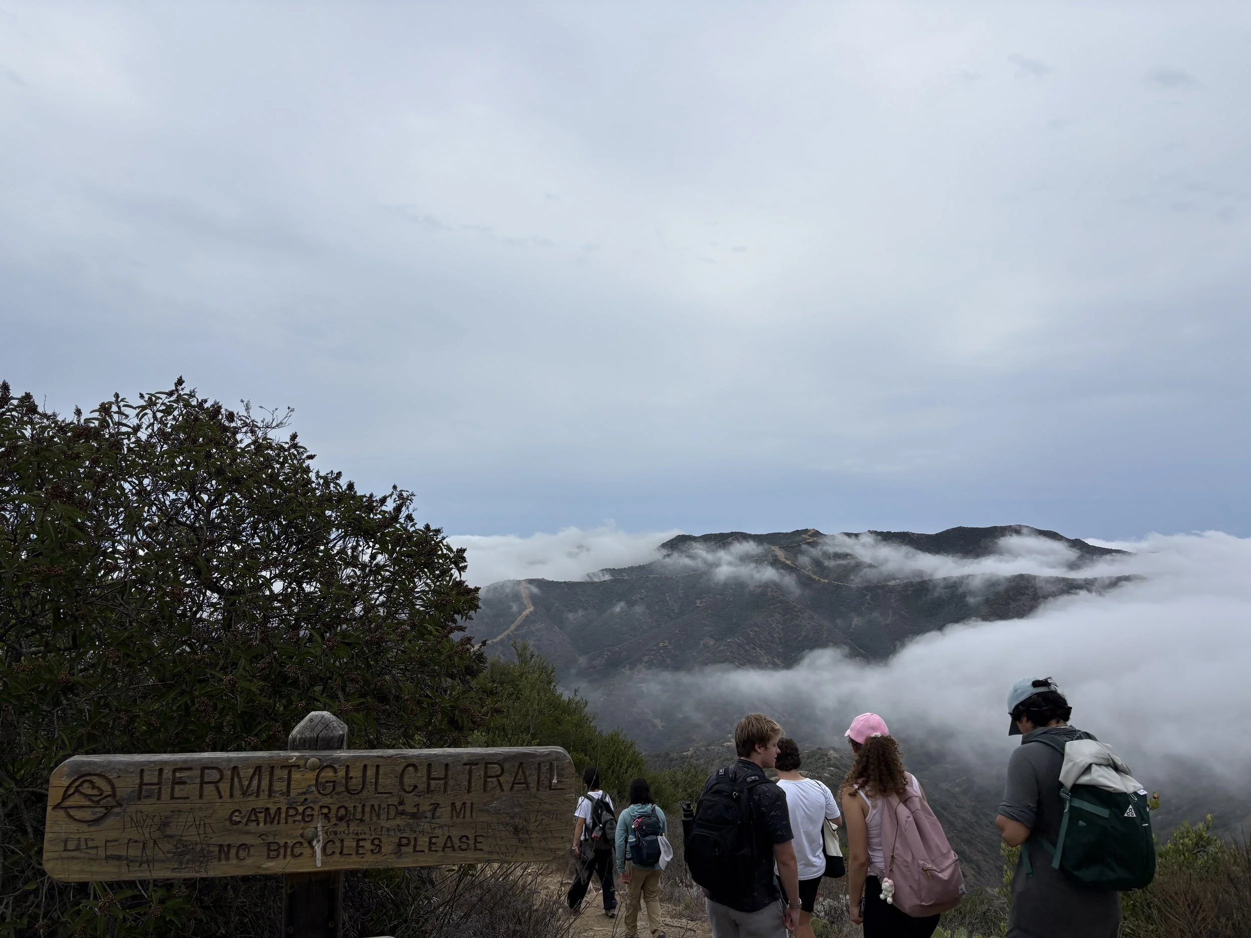 IMG_3642 - SC Outfitters.jpeg