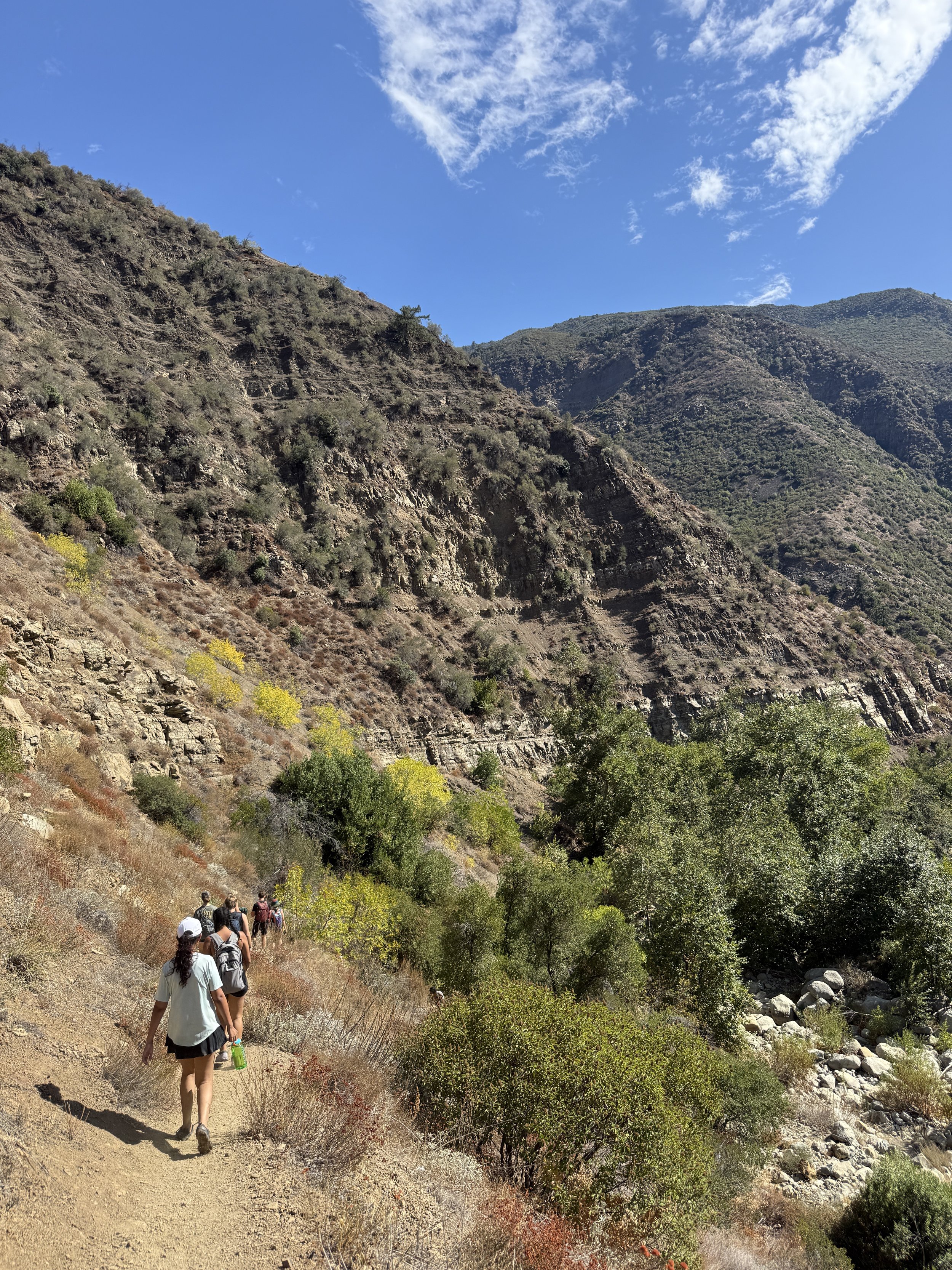 IMG_8308 - Aimee Poole.JPG