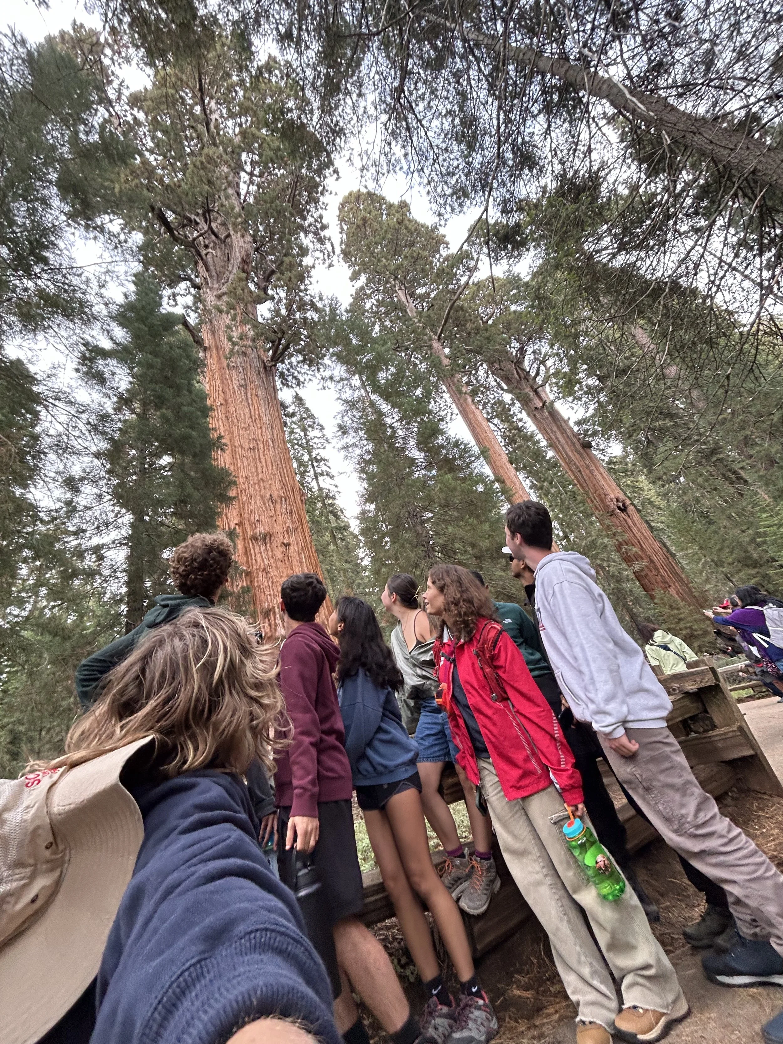 IMG_0076 - Delaney Carroll.jpeg