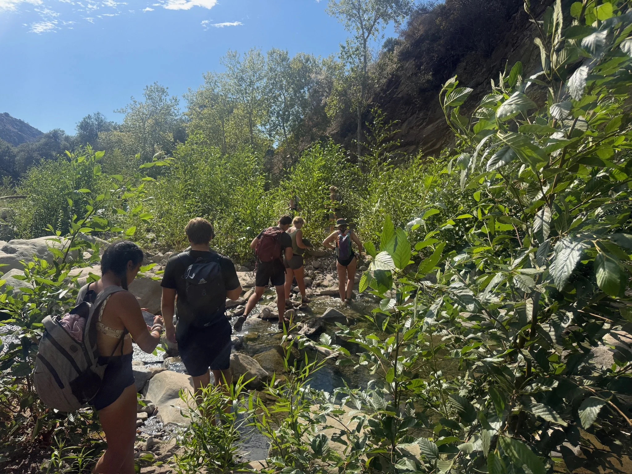 IMG_0104 - Delaney Carroll.jpeg