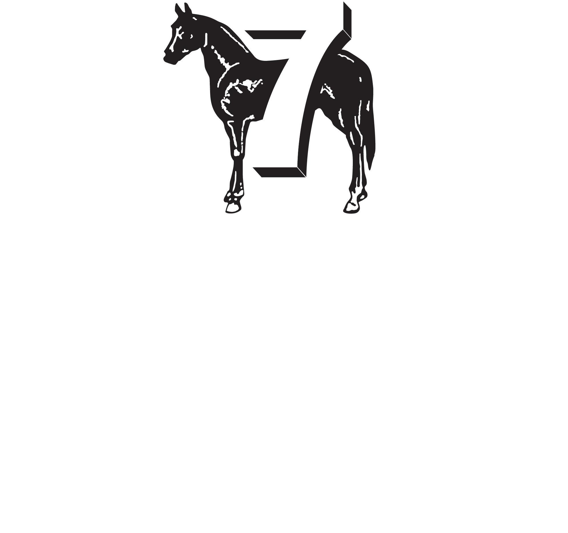 SL logo white@4x.png