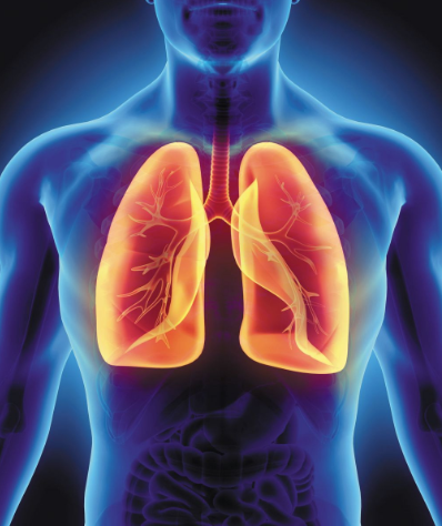 image credit health.harvard.edu