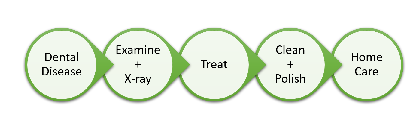 Picture1.png