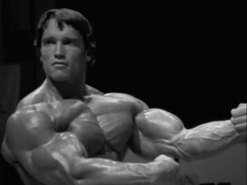 Example of Bodybuilder