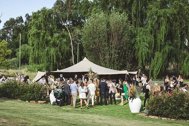 #Repost @barefoot.events
・・・
🍸Cocktail? Or sit down? What's your style preference? 💃🕺⠀
⠀
Photographer @down.brushwood.roadphotography
Venue @bigspringshomestead
Styling @thestylingstore ⠀
Florals @withlovebespokestyling
⠀
#barefootevents #eventhir