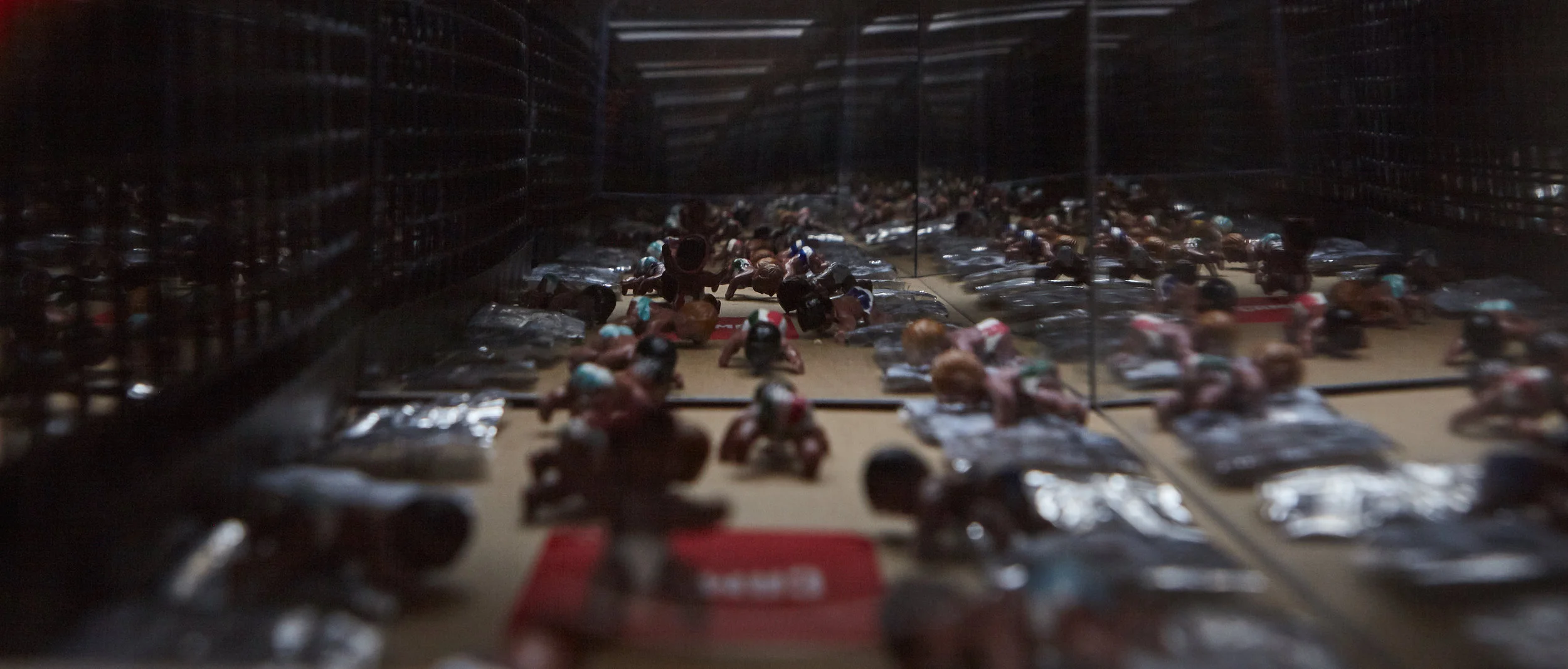 Inside Trump Camp - shoebox