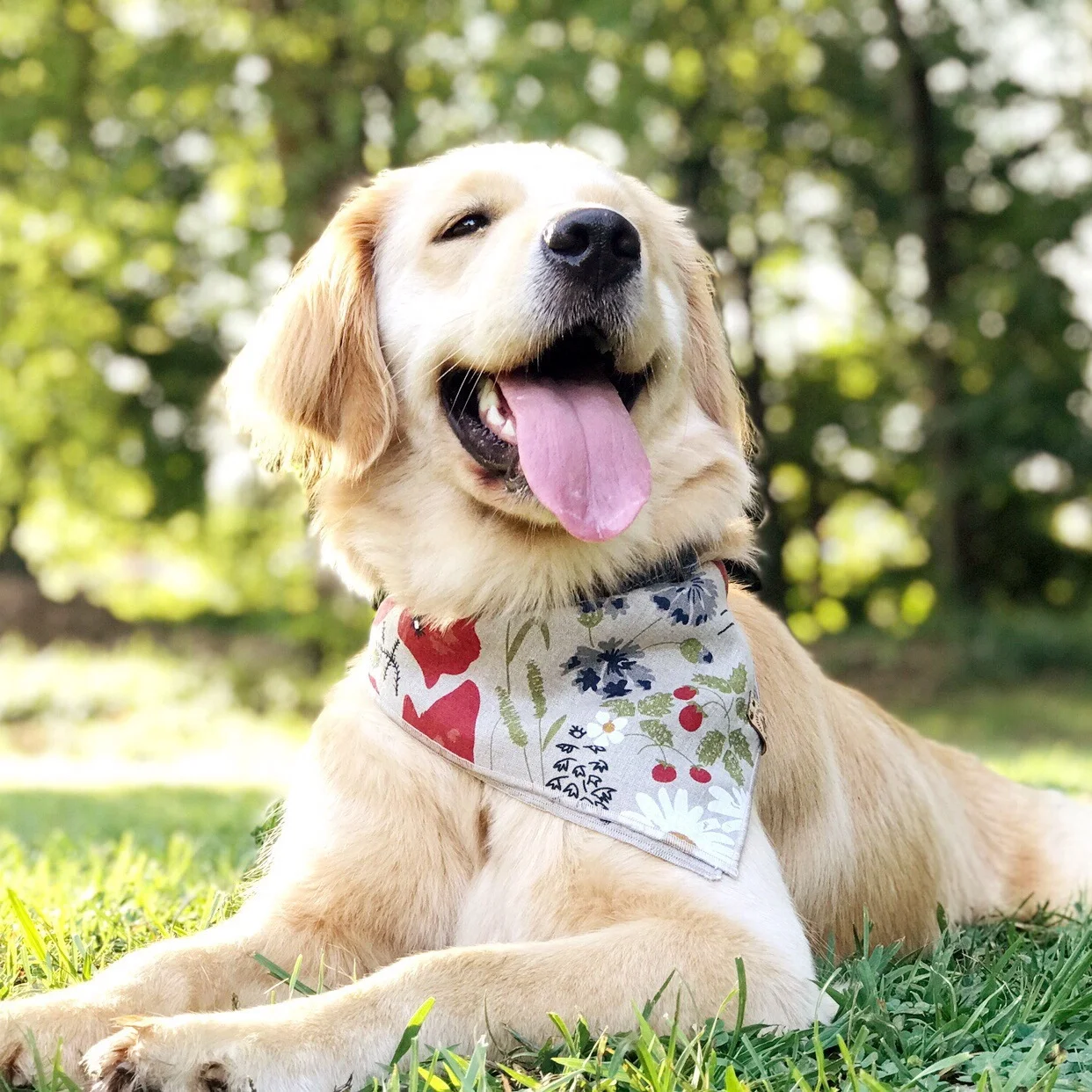 Flower Dog Bandana