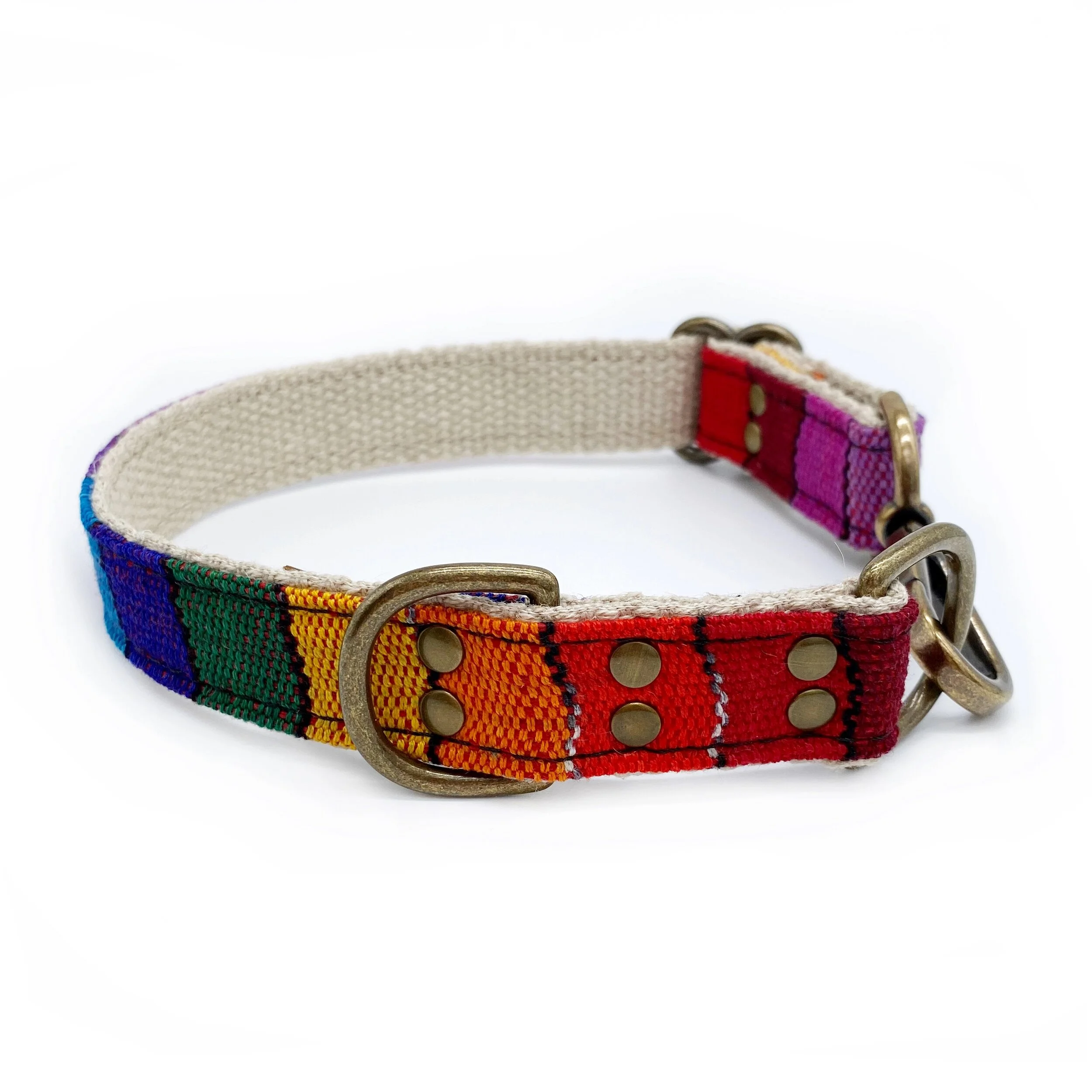 pride dog collar
