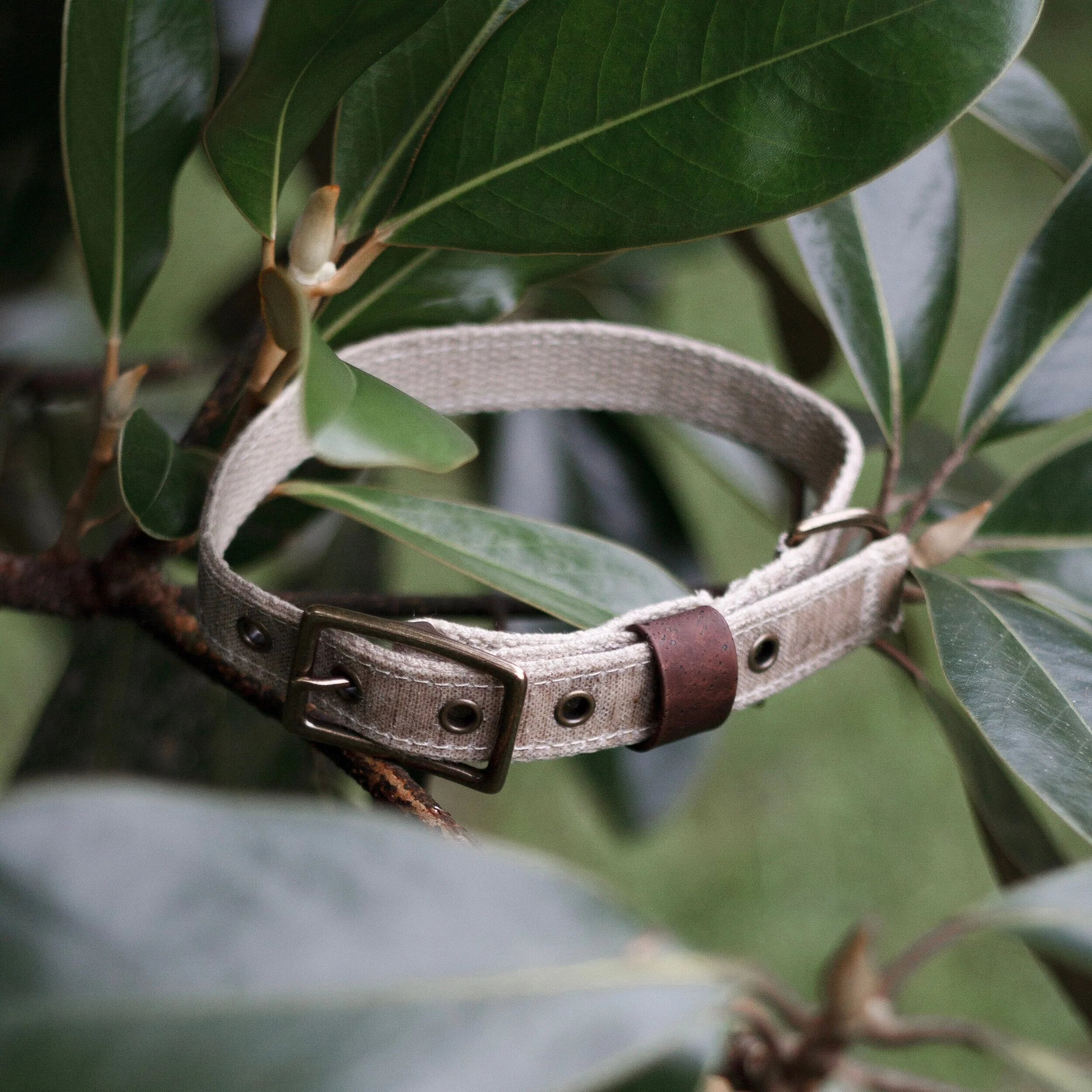 linen dog collar