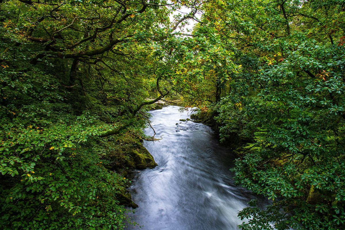 Plantation Bridge