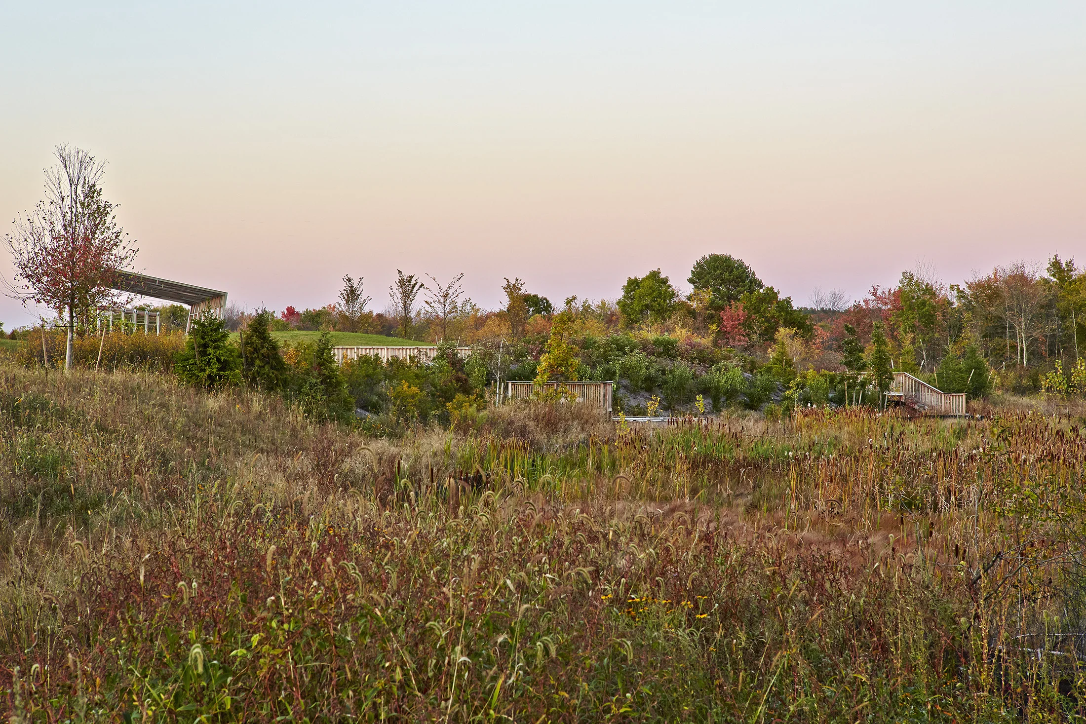CSS_CantonPK_20141005_3185.jpg