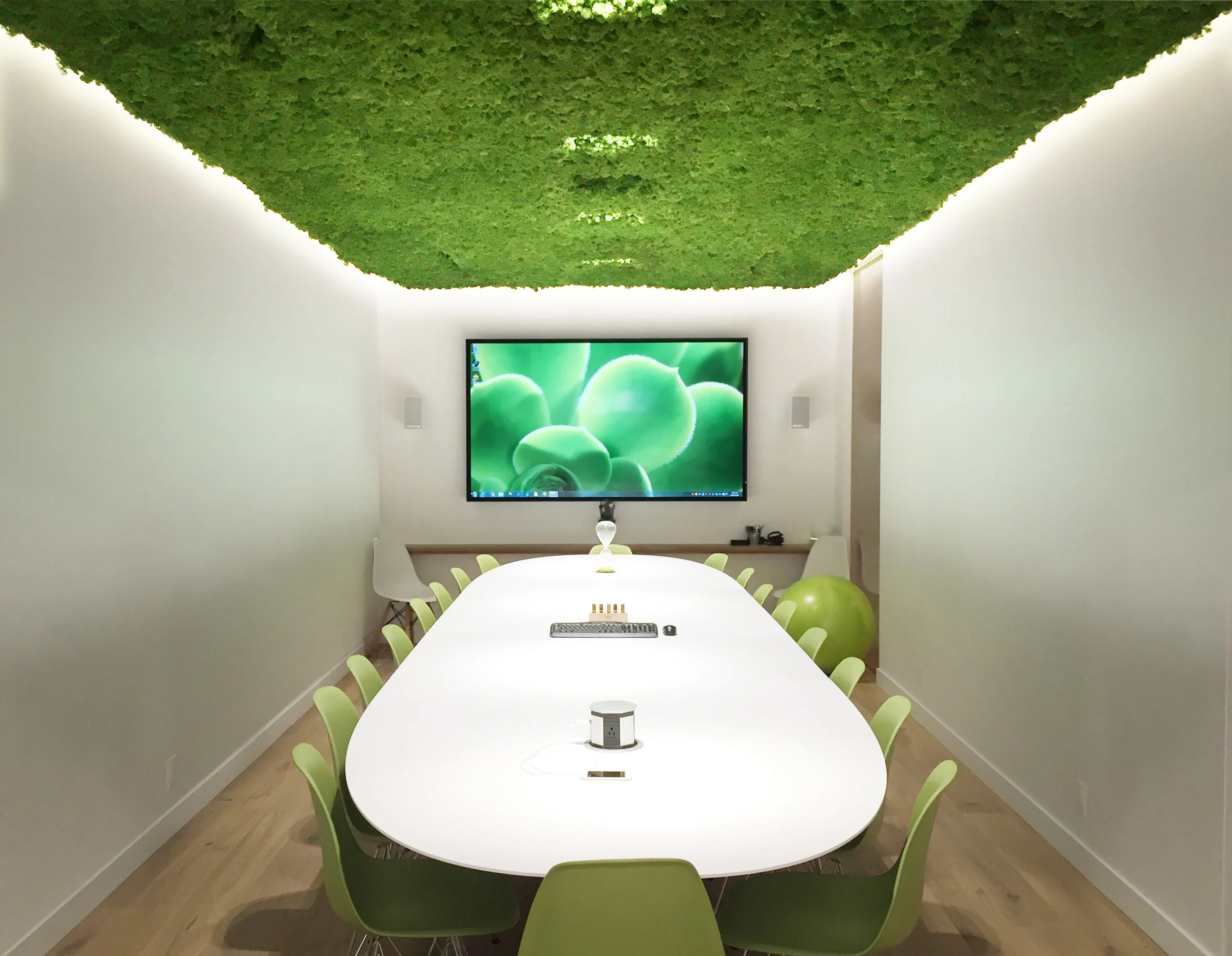 Naturally Appointed Boardroom