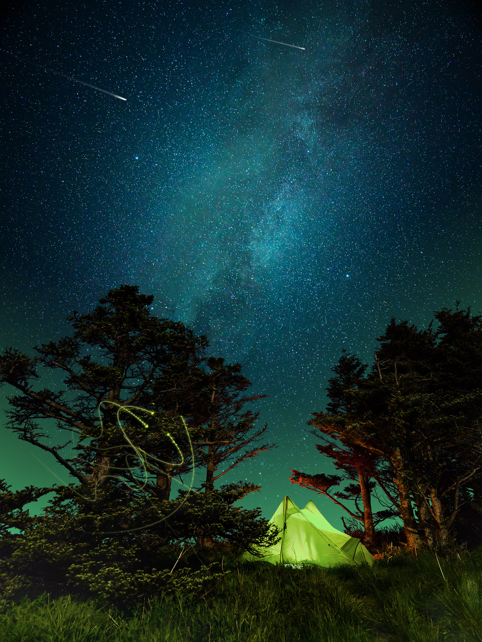  The initial interactive display involves a slowly revolving star scape, intermittent shooting stars, a twilight colour tat changes throughout the day, and a swamp of fireflies that follows guests as they walk through the lobby. 