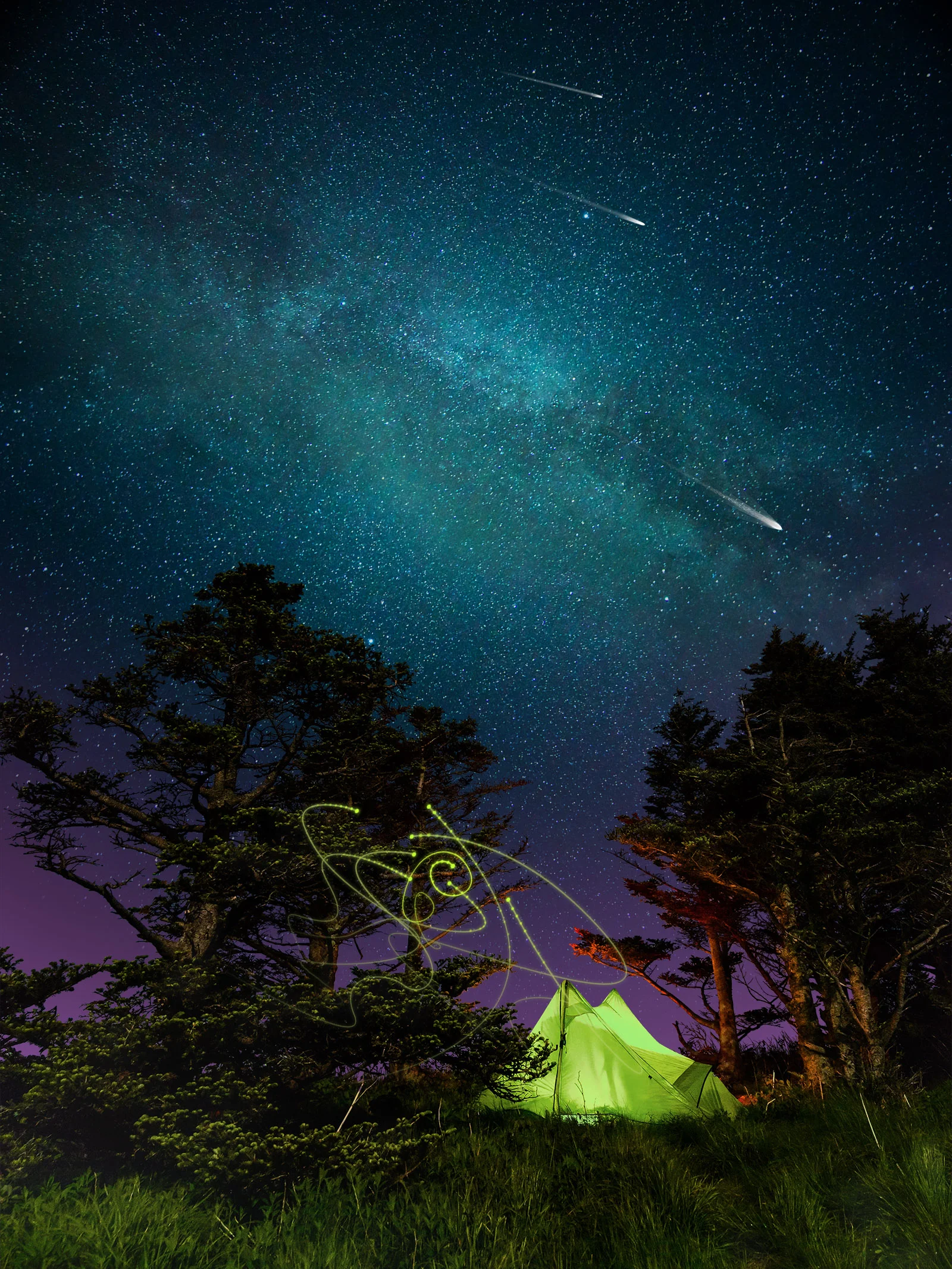  The initial interactive display involves a slowly revolving star scape, intermittent shooting stars, a twilight colour tat changes throughout the day, and a swamp of fireflies that follows guests as they walk through the lobby. 