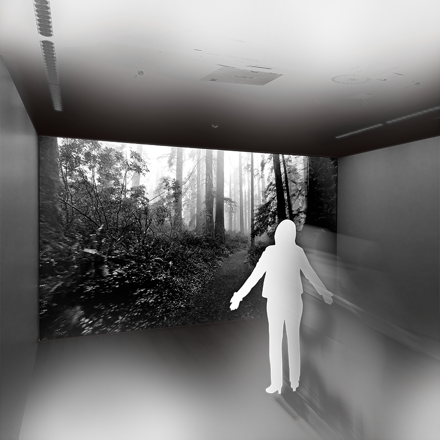 Immersive Sense Room