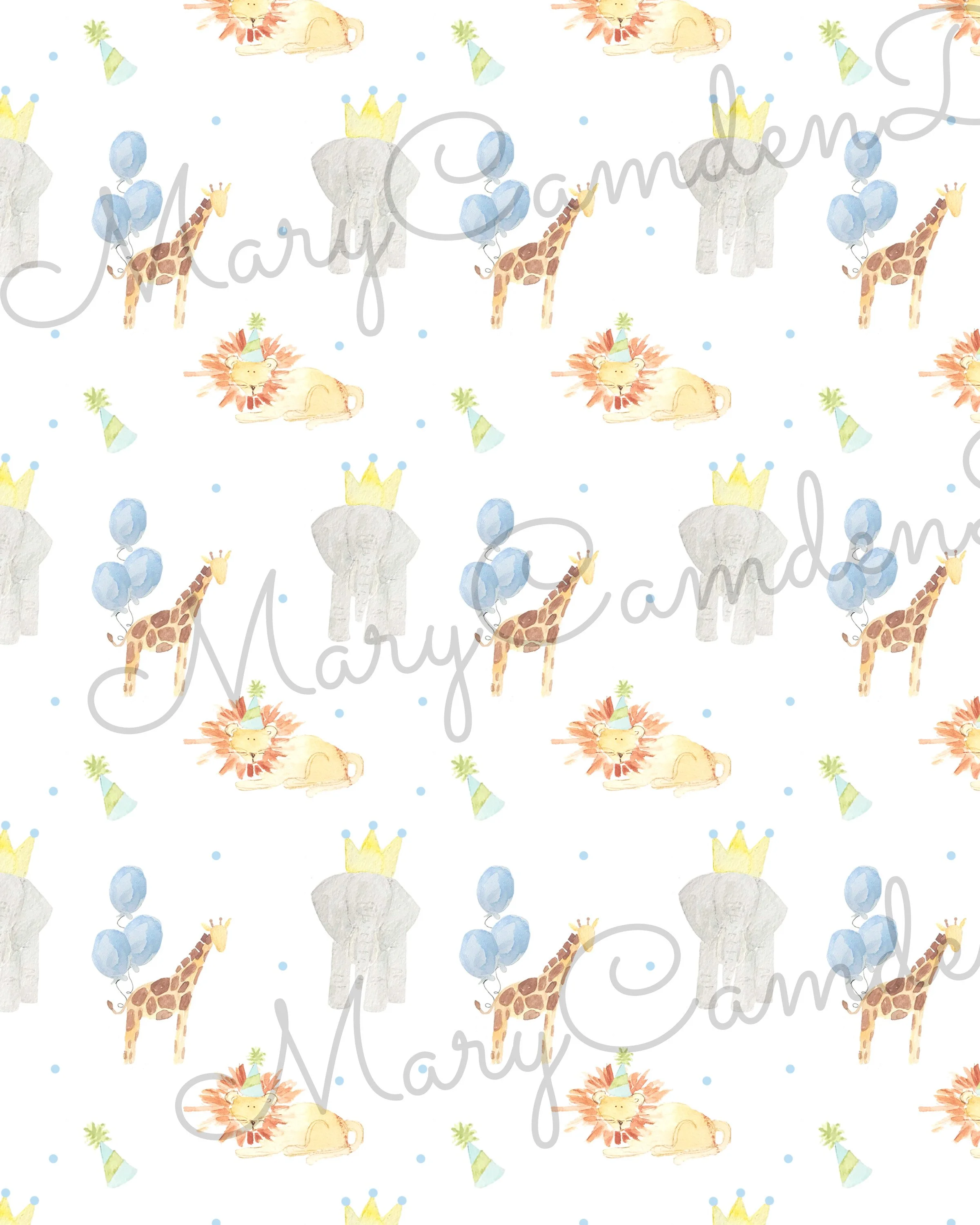 party animal boy 2 copy.jpg