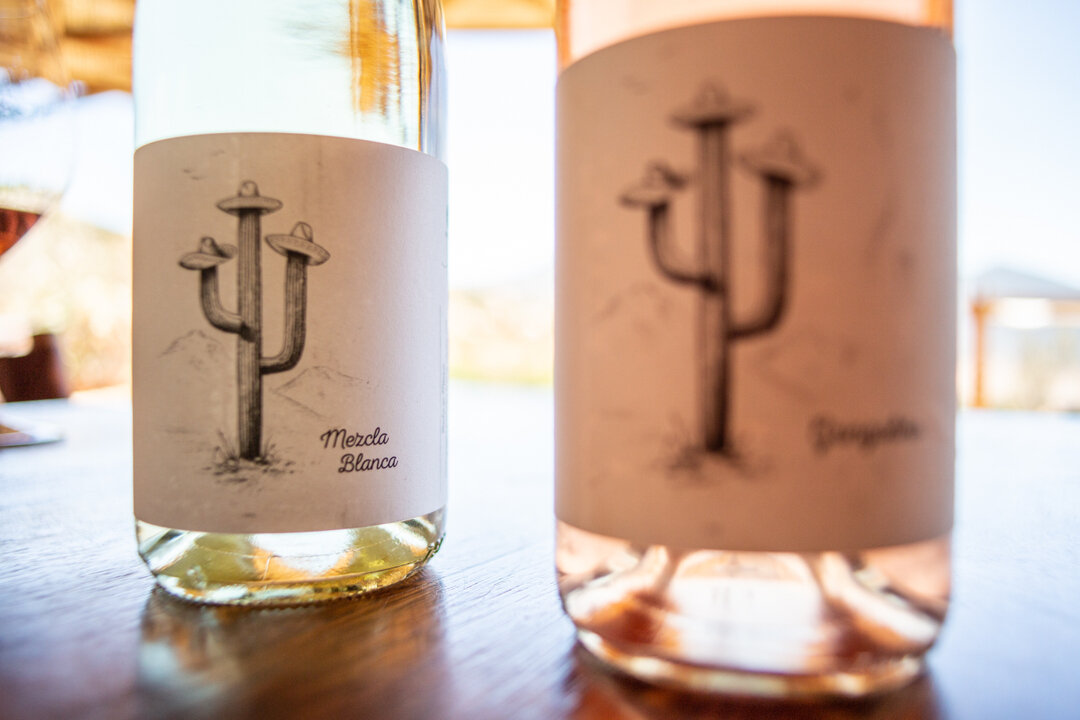 Focus on Mezcla Blanca: a blend of primarily Colombard, with a little Sicilian love (Grillo &amp; Catarratto). Send mariscos! ​​​​​​​​
​​​​​​​​
#tresommwine #valledeguadalupe #bajacalifornia #bajawine #mexicanwine