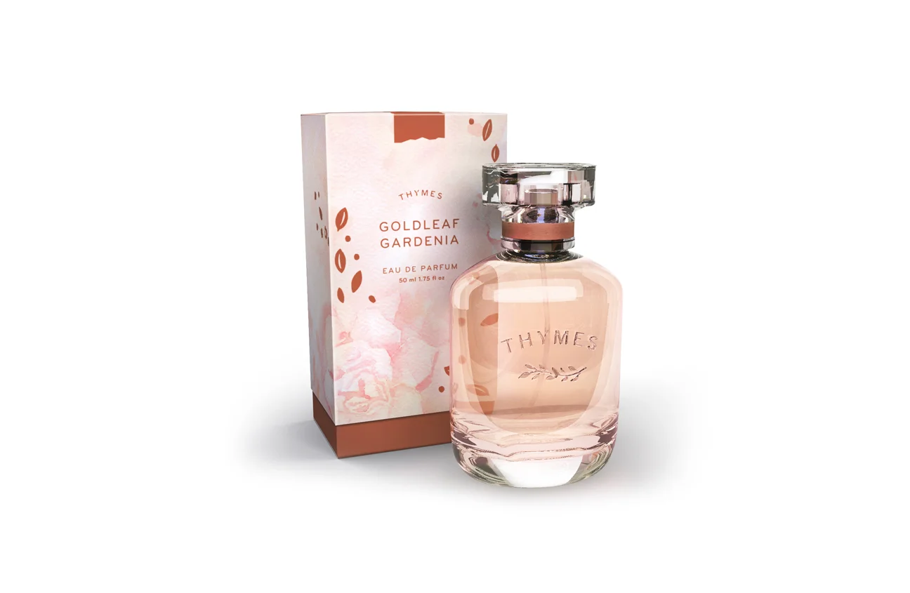 illustration splash screen.jpg