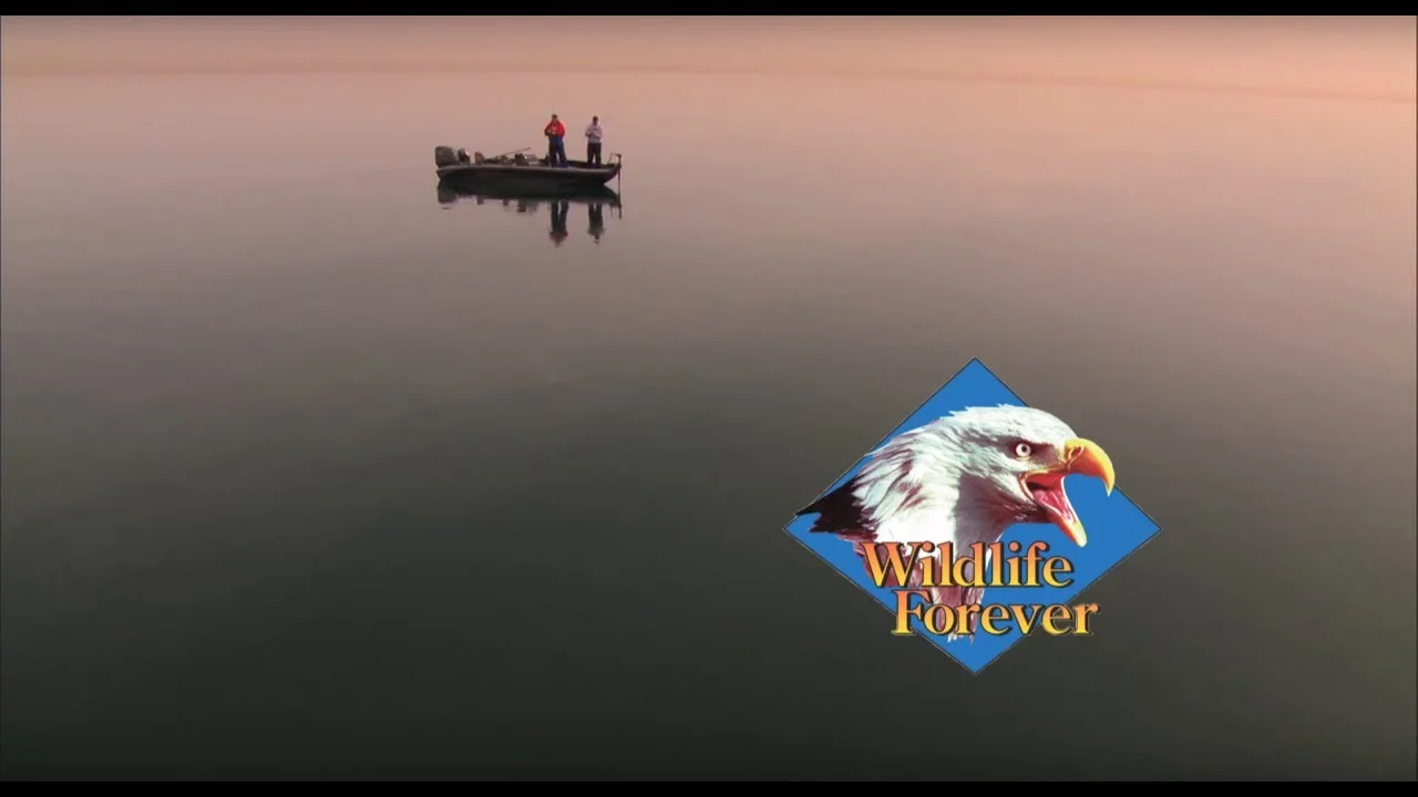  My role with a few projects over the past 10 years with Wildlife Forever has been sporadic. The projects in the beginning were calendars and newsletter. As years pasted, the business and jobs transformed more into billboards and logos. 