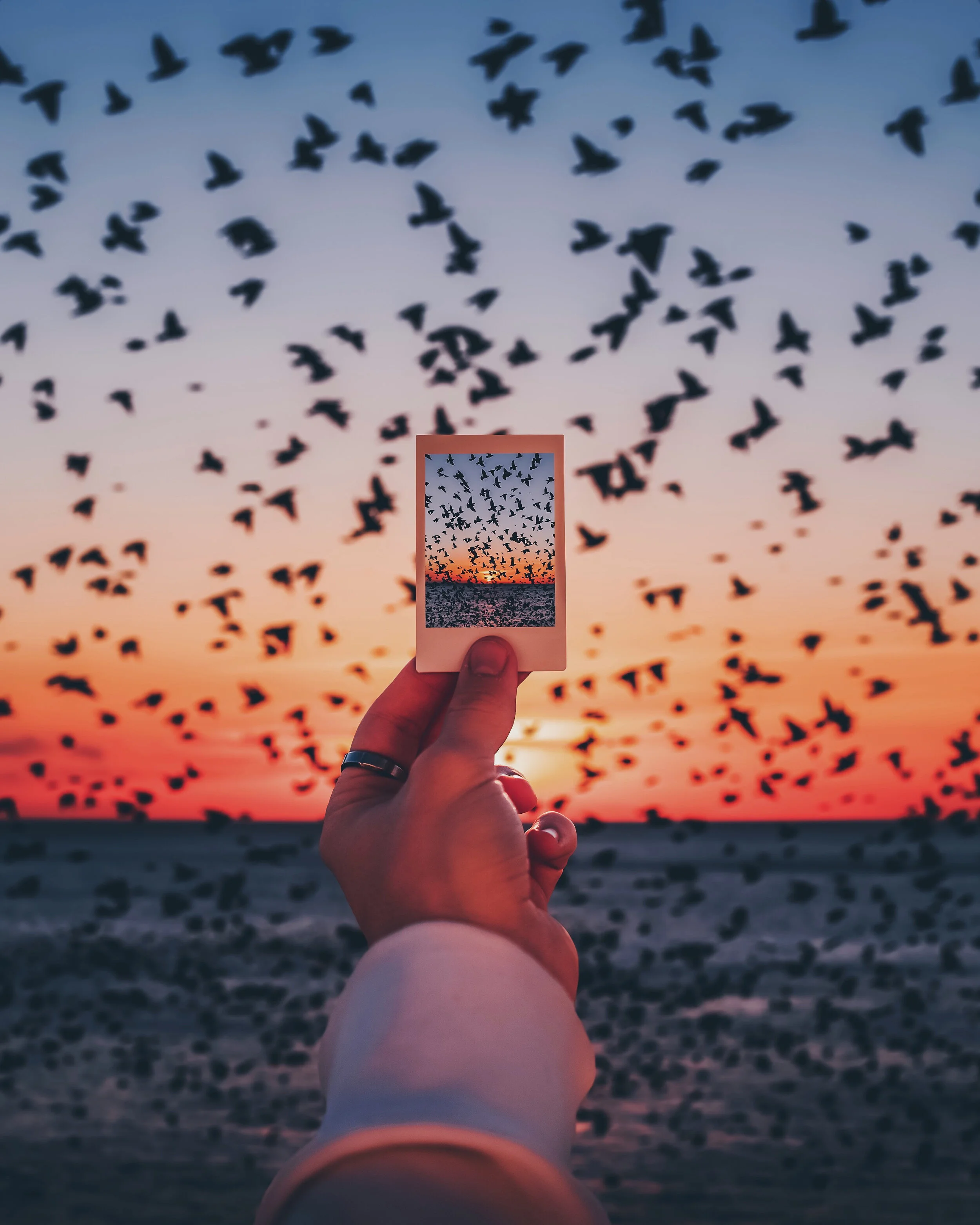 F04B3BA8-071D-43F2-94DA-70B96FE9A0CB 2.JPG