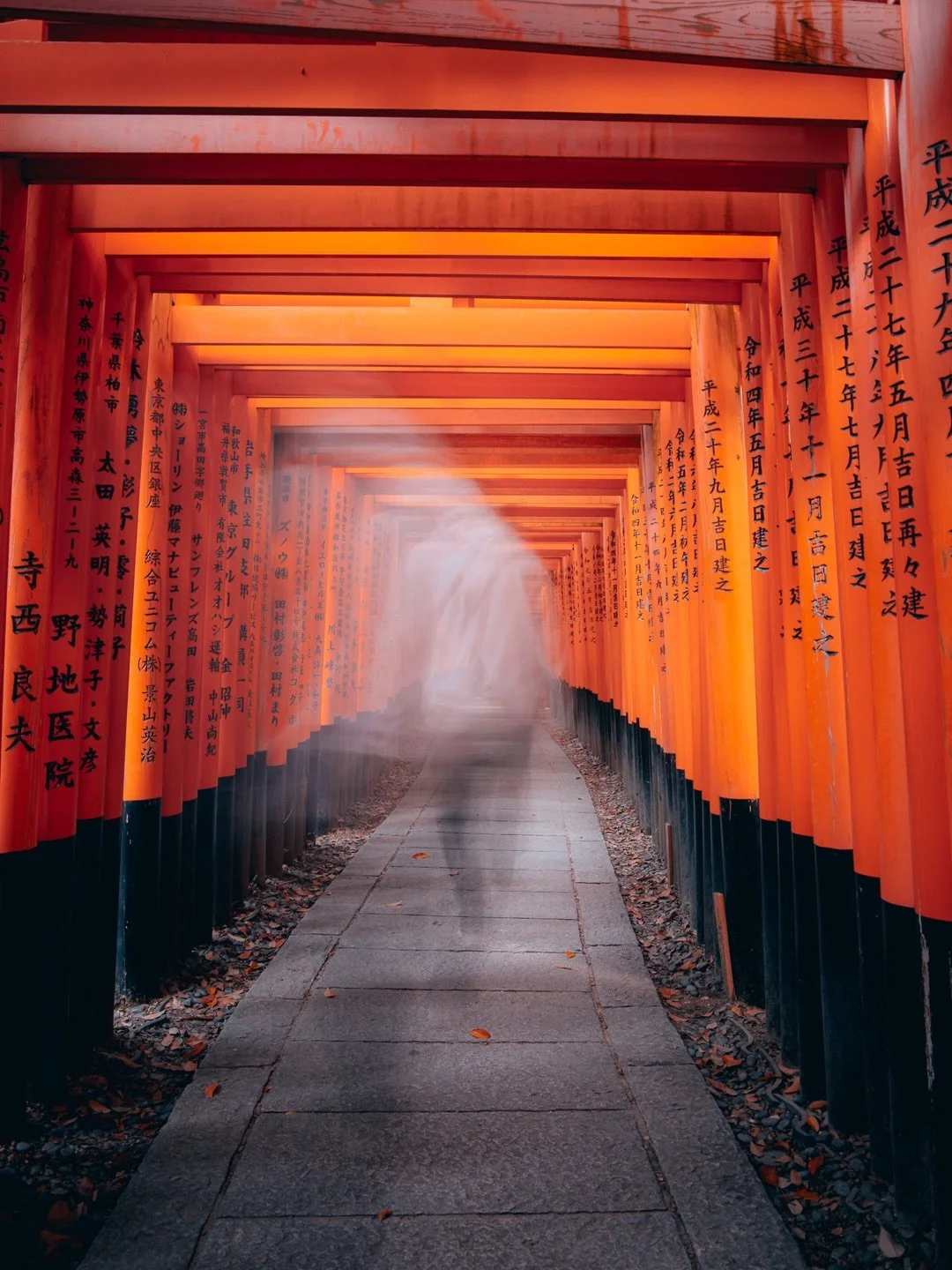 fushimi inari shrine, kyoto ⛩️

#kyoto #visitkyoto #japan #visitjapanjp #beautifuldestinations
