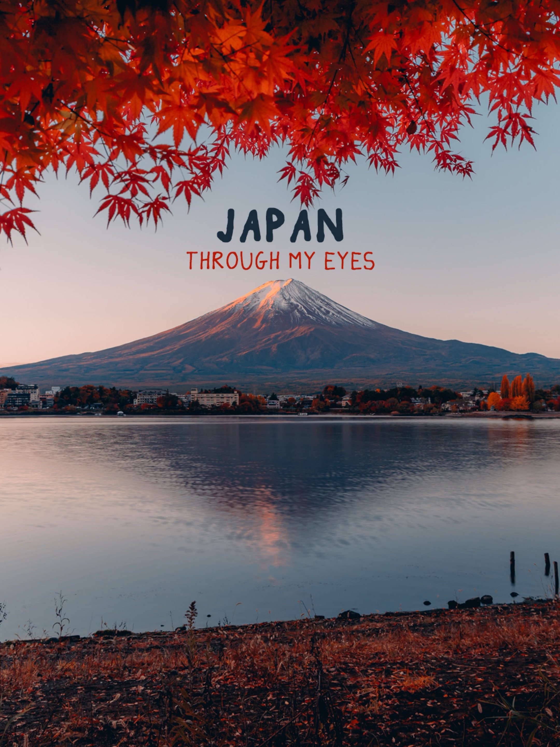 some of my favourite shots from three weeks in japan 📸 🇯🇵 

1. lake kawaguchiko
2. shiinamachi station, tokyo 
3. fushimi inari shrine, kyoto 
4. nara deer park 
5. lake kawaguchiko 
6. zamami, okinawa 
7. hōkan-ji temple, kyoto
8. oishi park, fuj