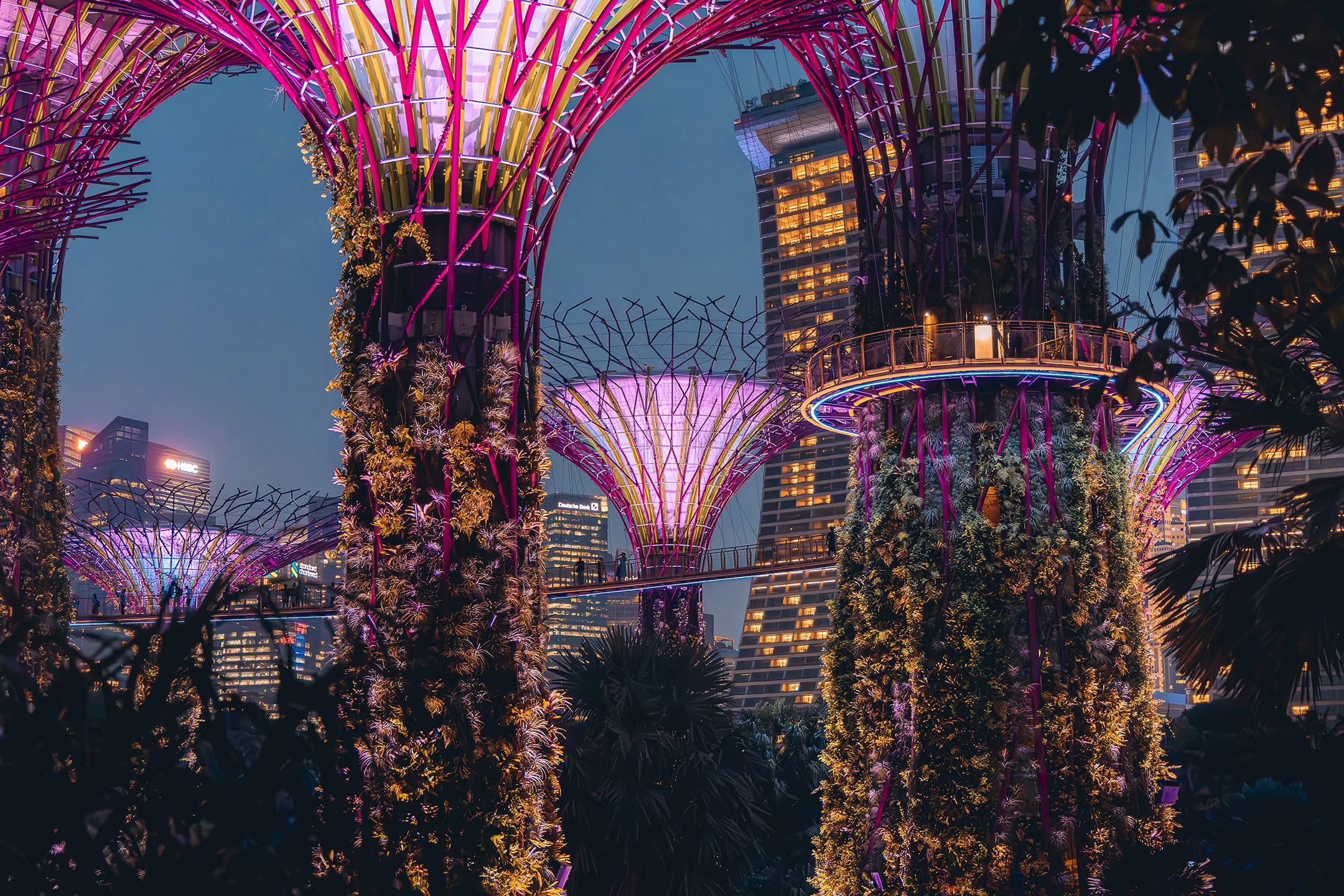 GARDENS BY THE BAY 01