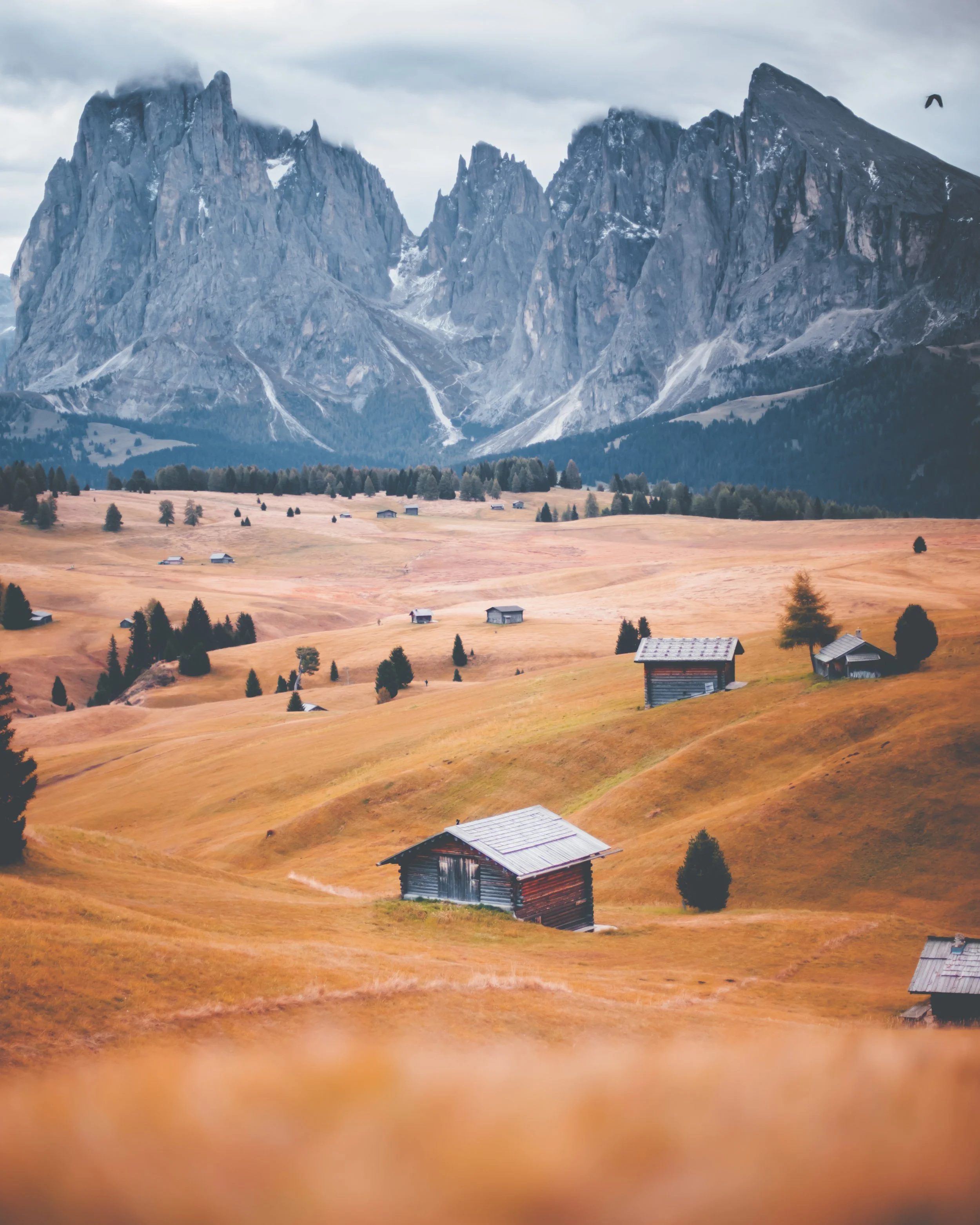 ALPE DI SIUSI, SOUTH TYROL 01