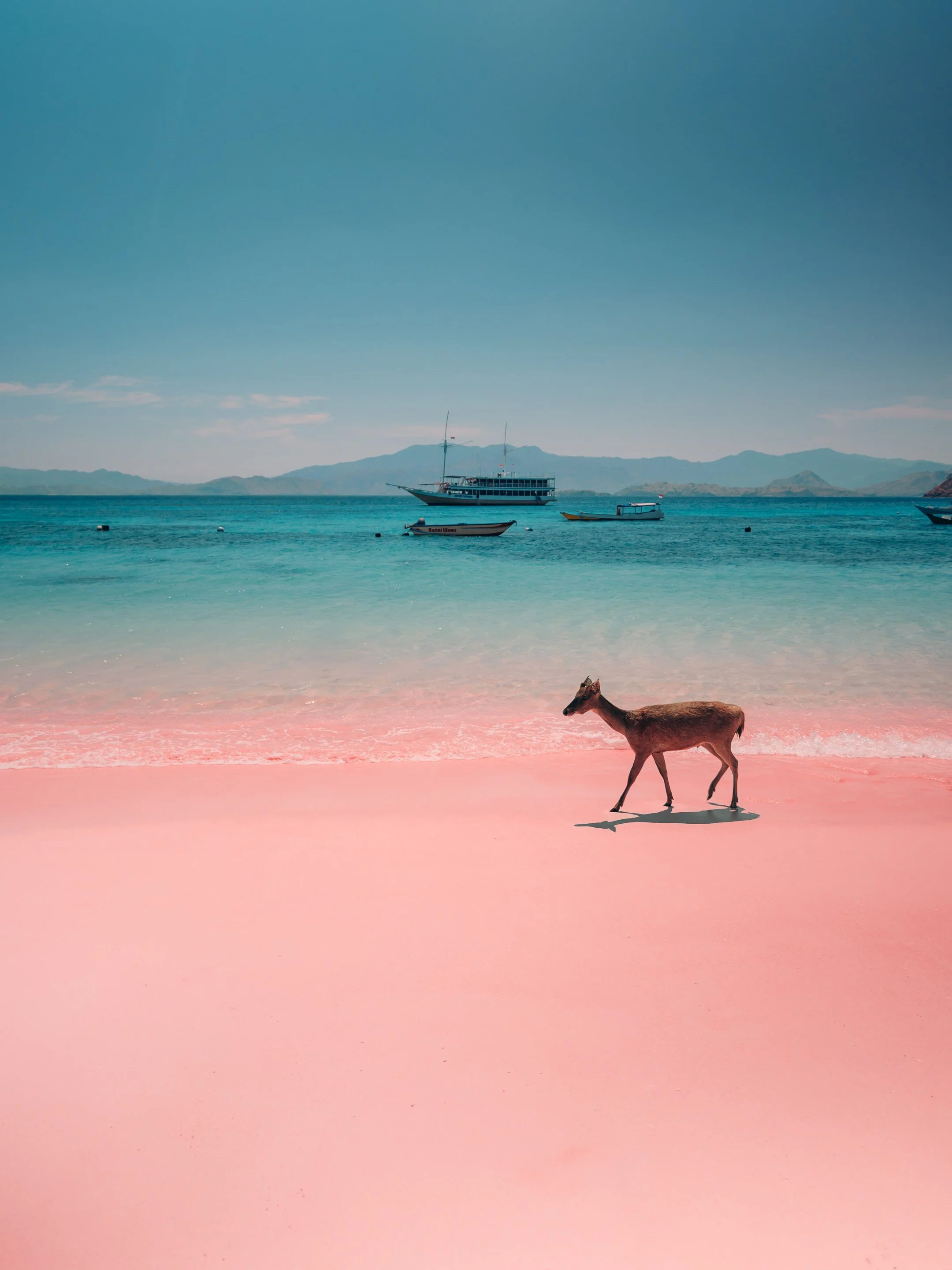 PINK BEACH 02