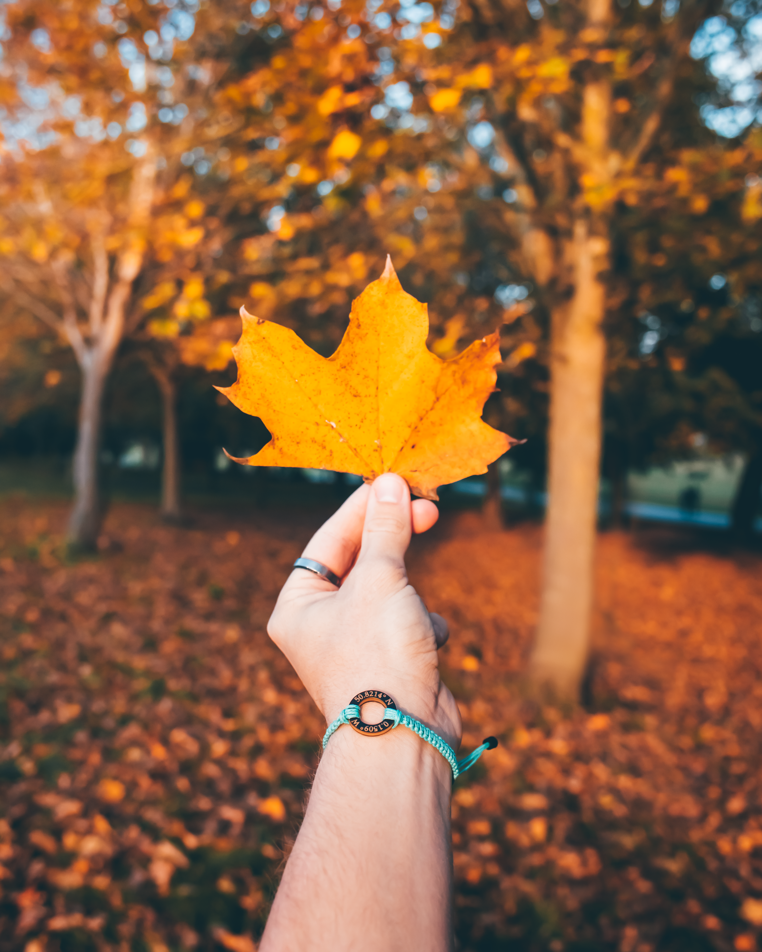 Fernweh Disk Black 2.png