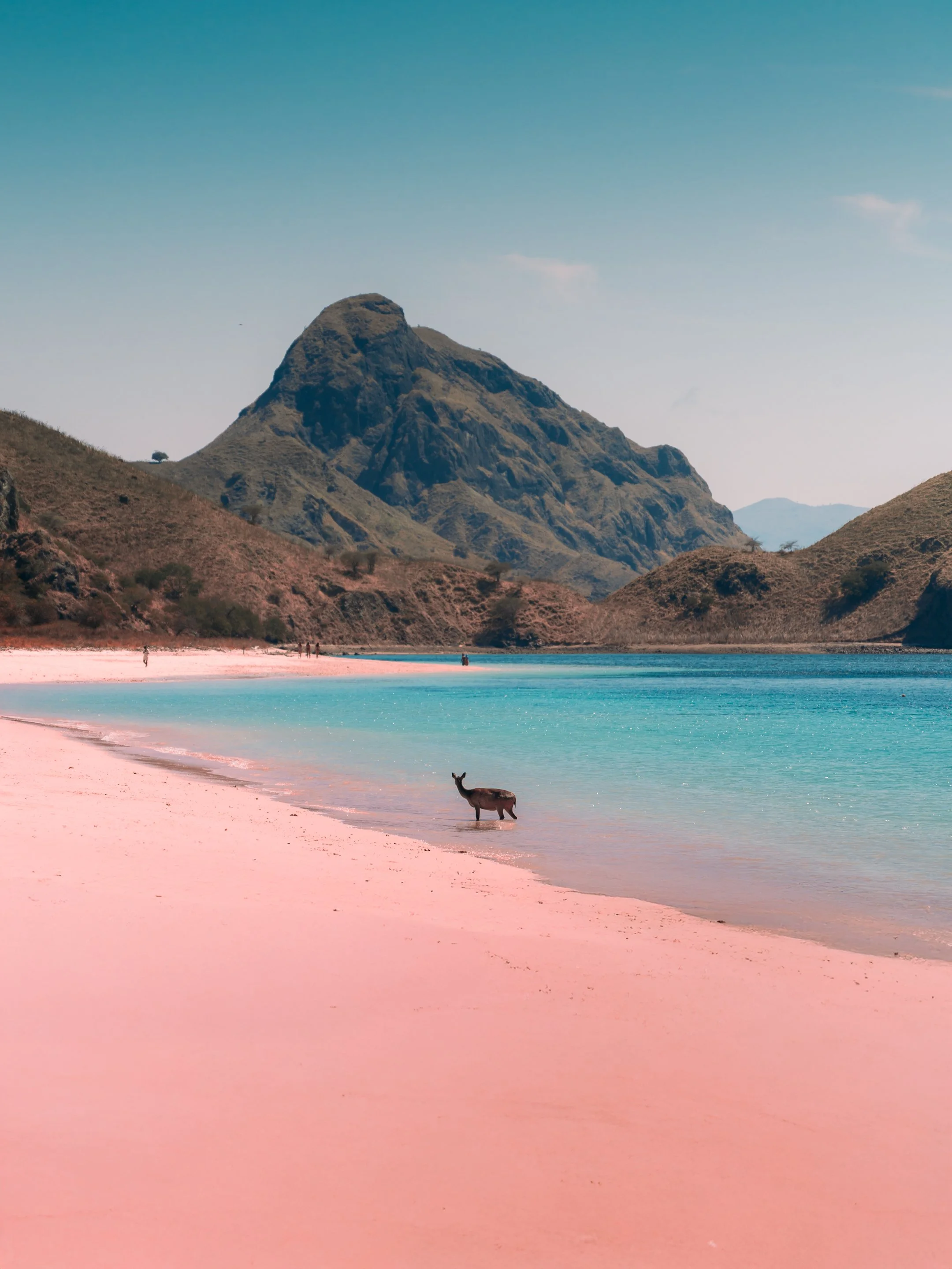 PINK BEACH 03
