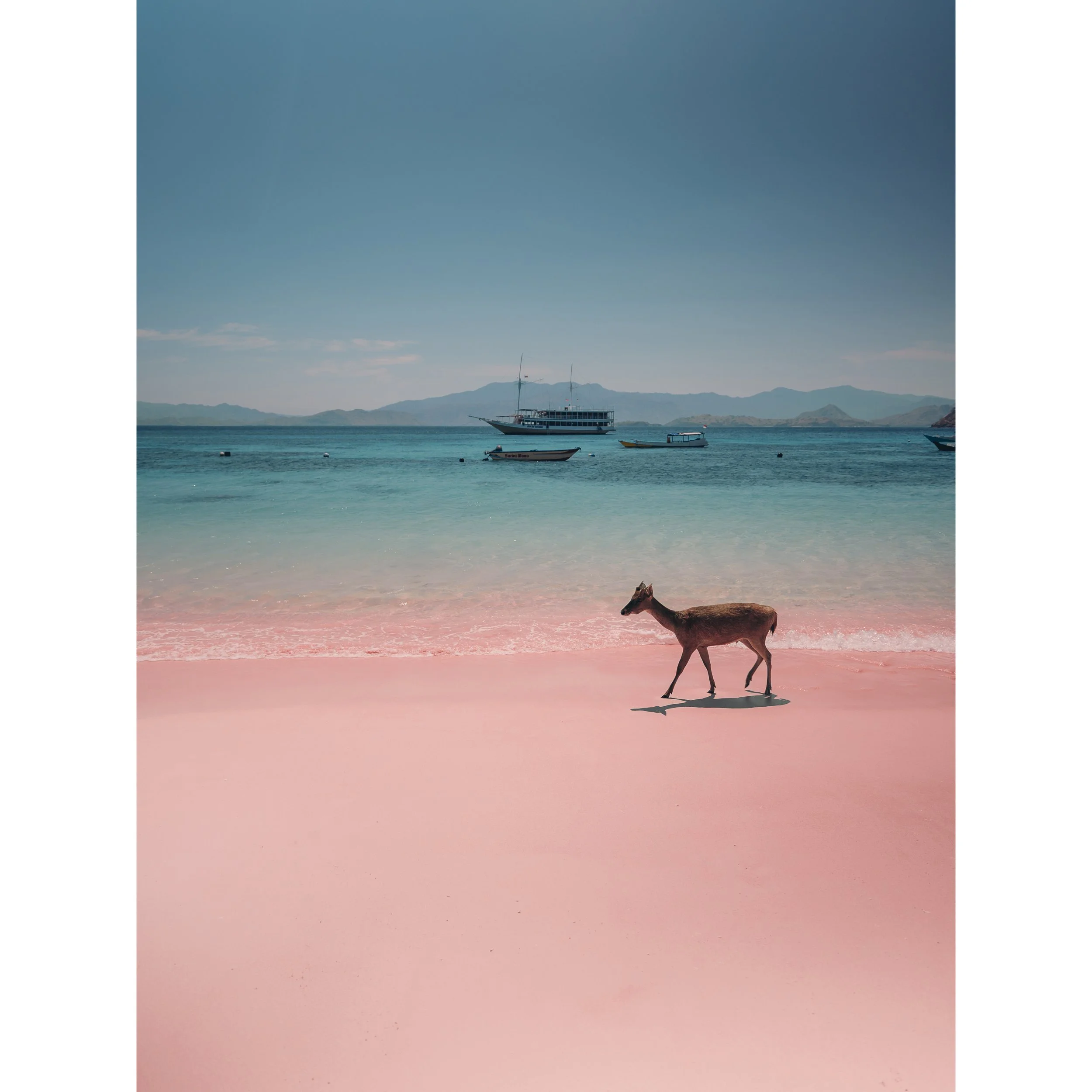 Pink Beach Preview.jpg