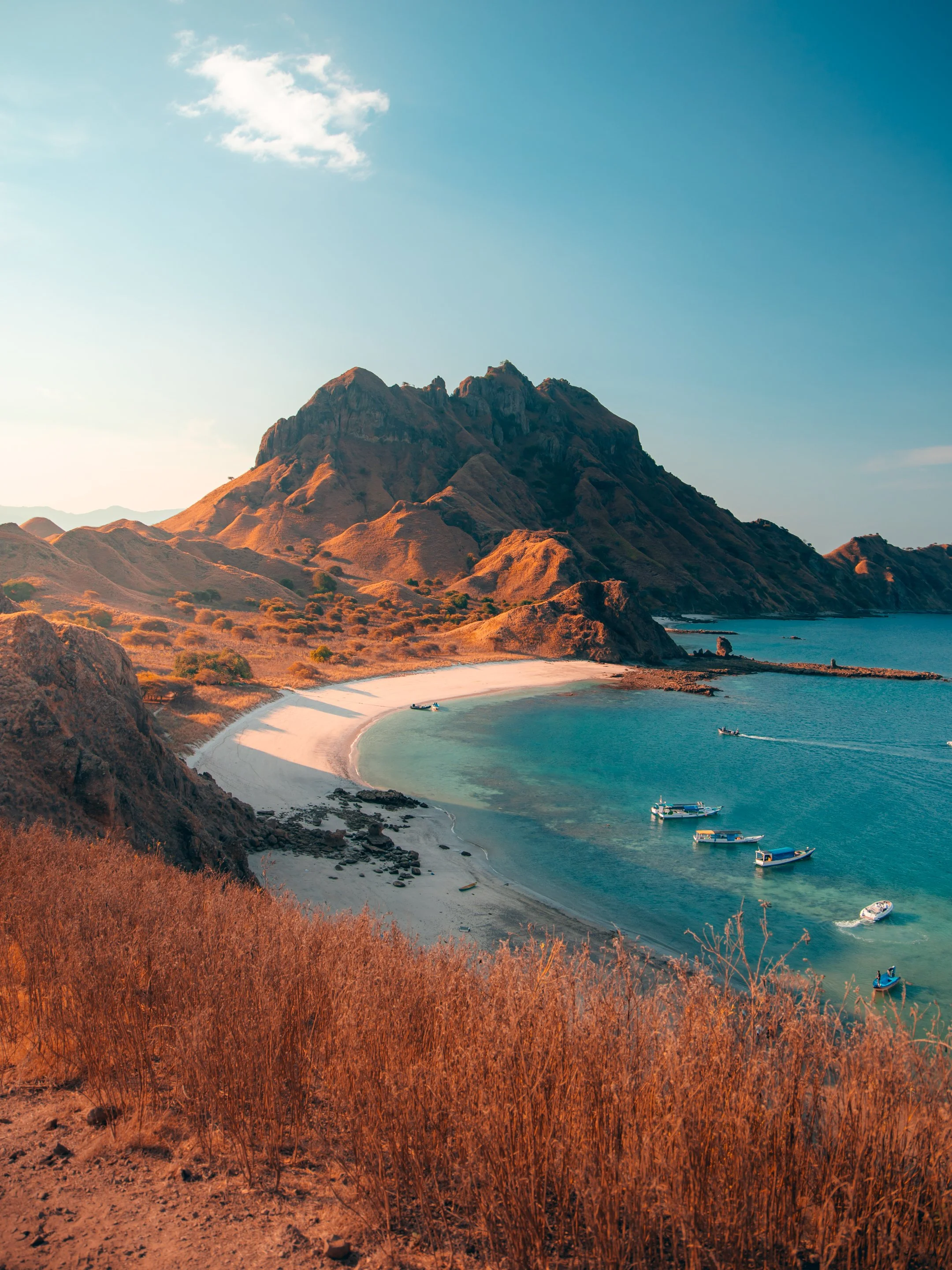 PADAR ISLAND 01